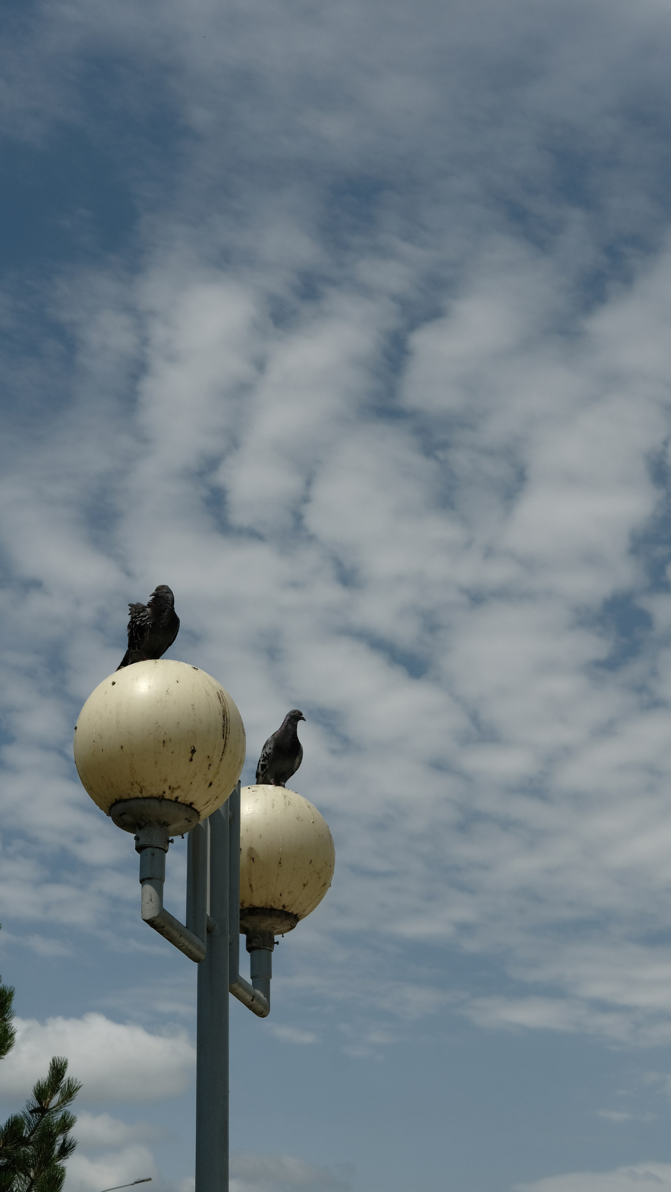 Сочи. Фотограф Сергей Красников