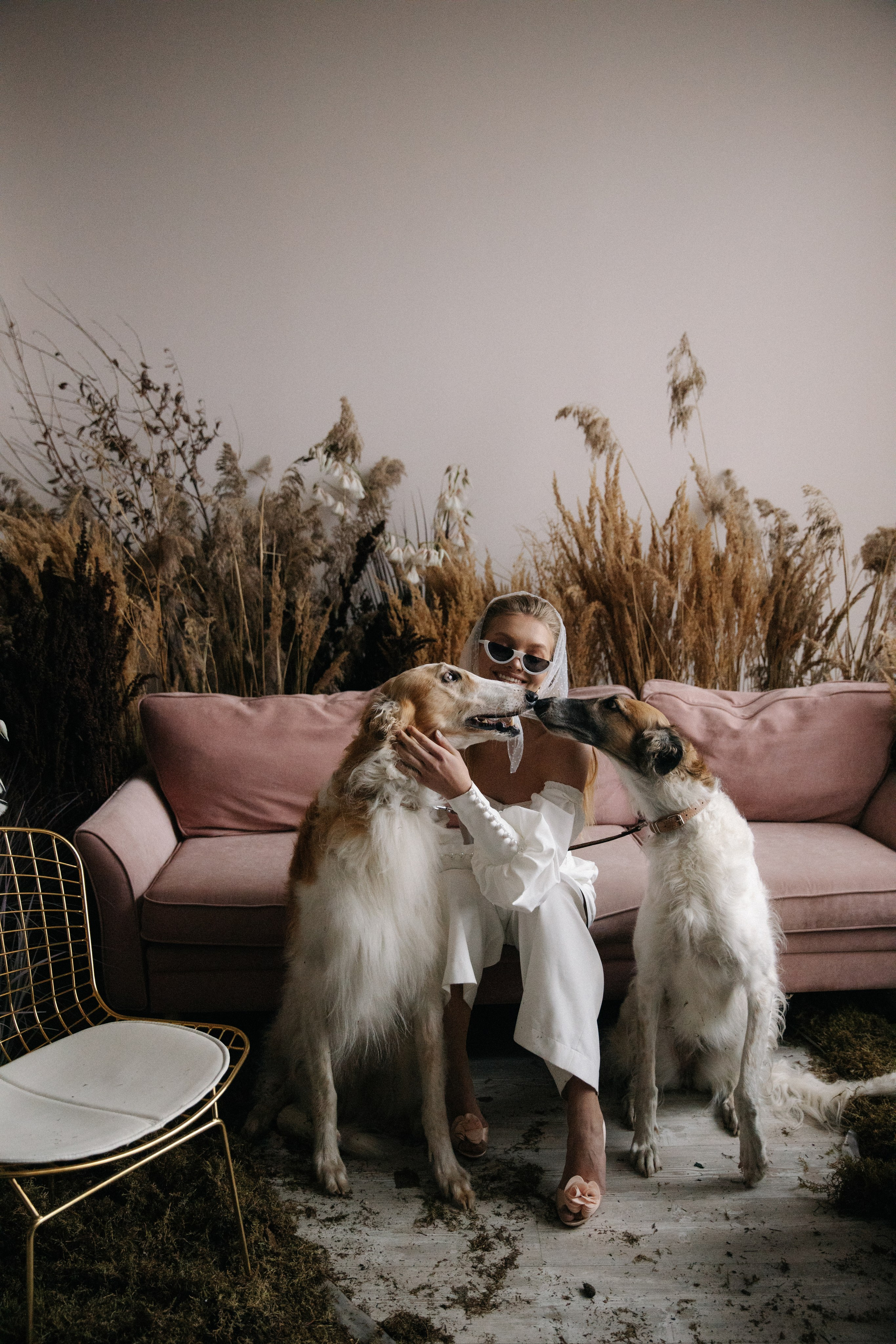 Борзые. Свадебный и семейный фотограф Скрынник Светлана