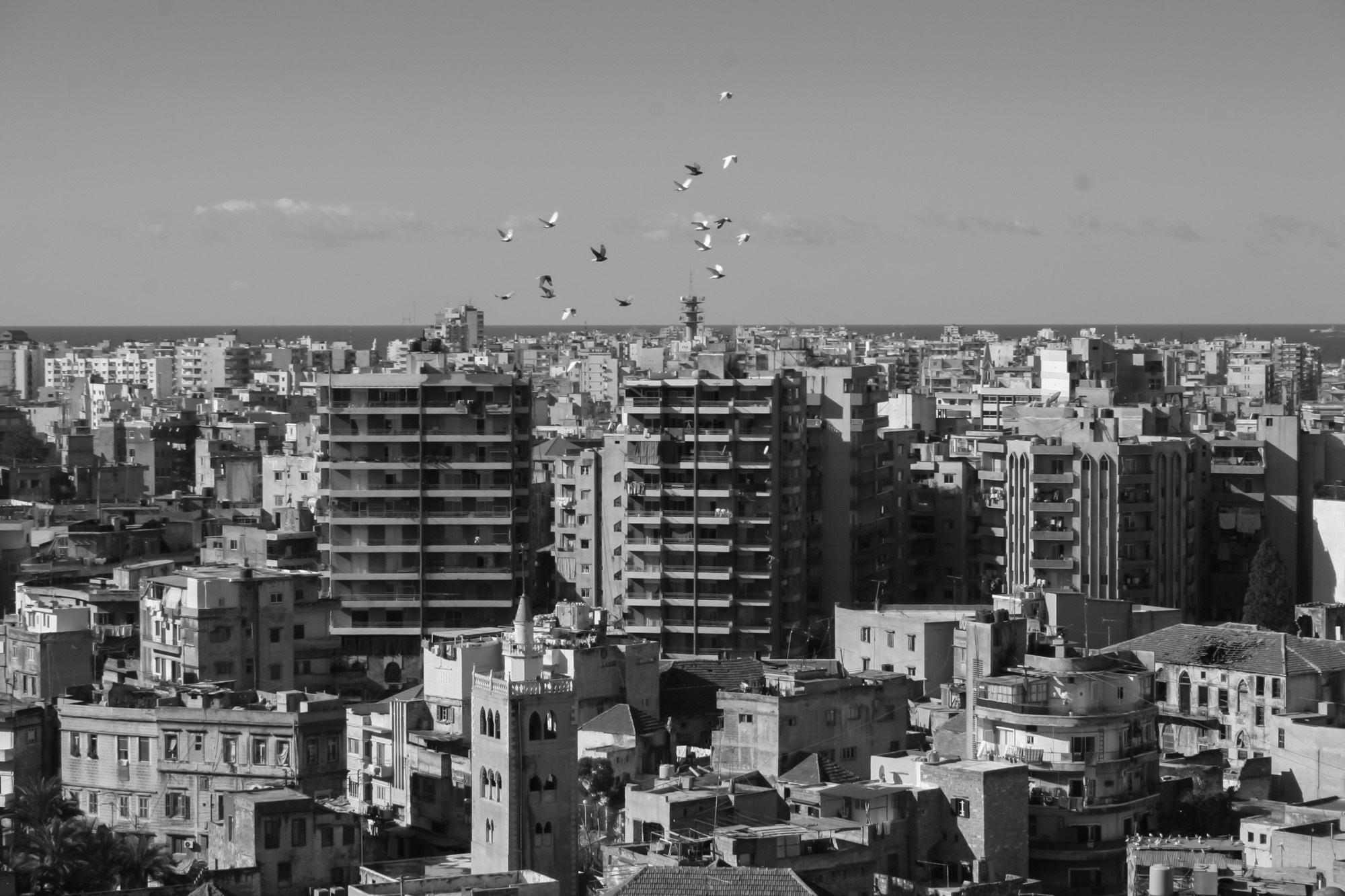 Ливан. Фотограф Алексей Скоробогатько