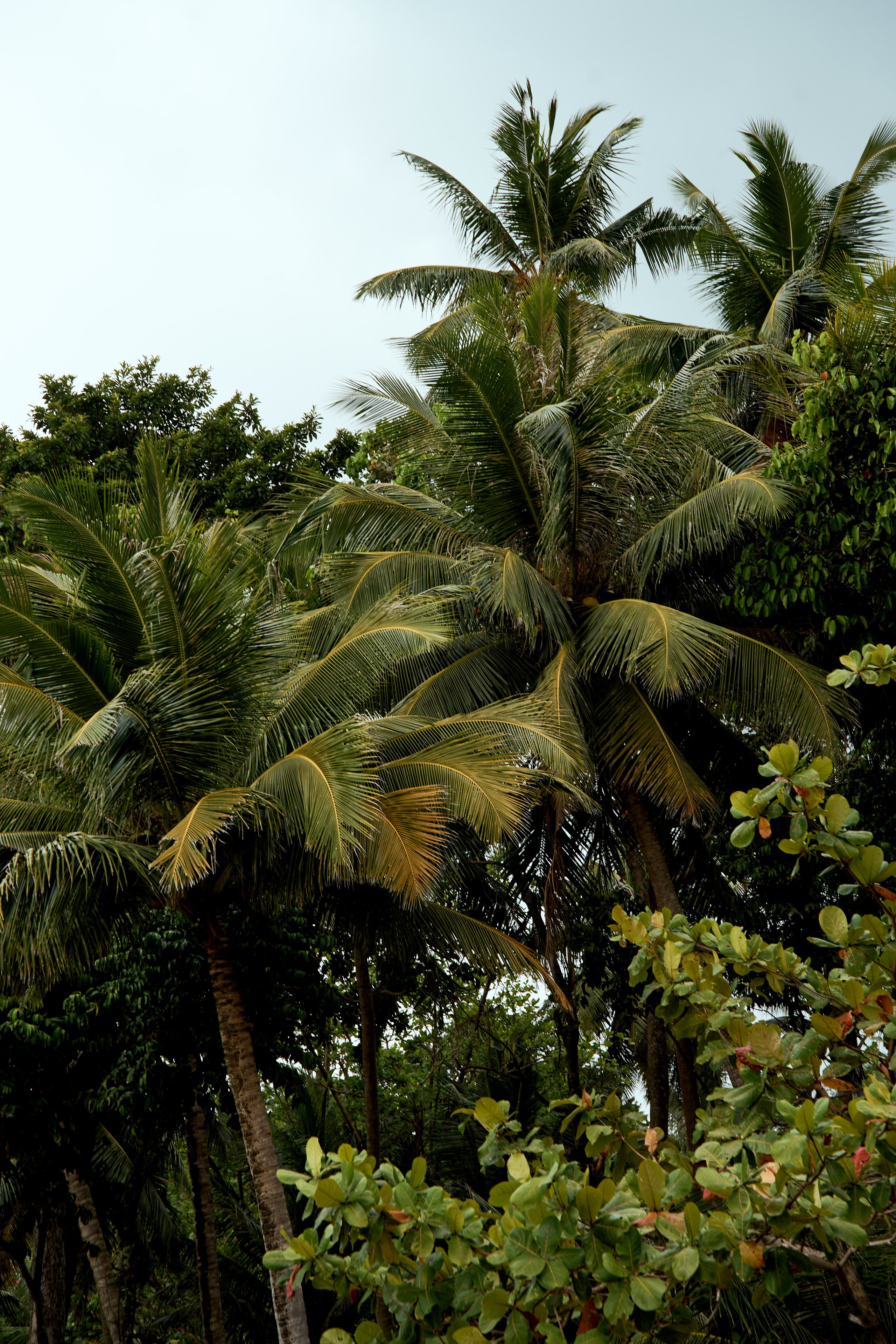 ТАИЛАНД. Студийный фотограф в Екатеринбурге Бшари Заана