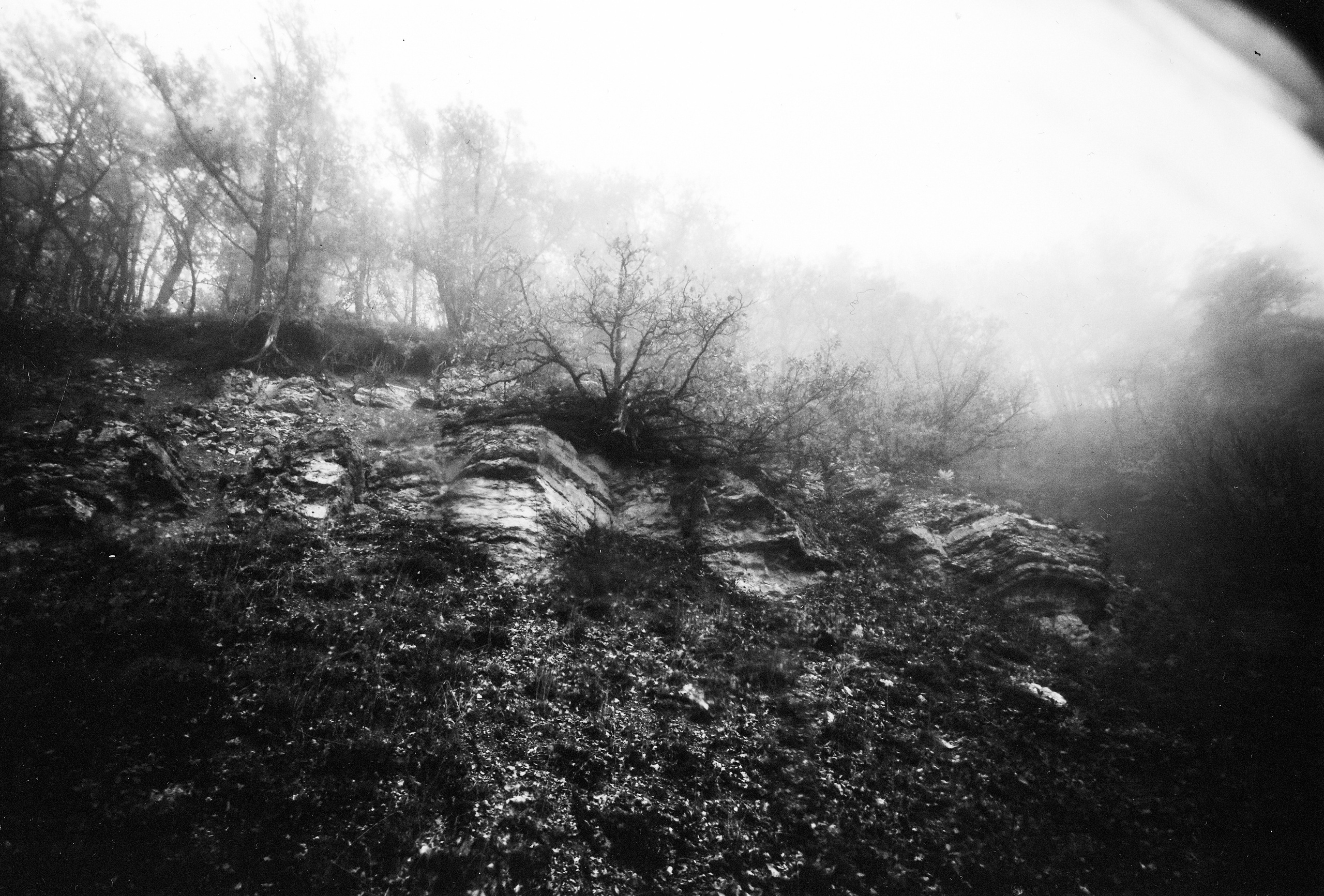 Album cover for sale. Фотограф Мария Немм