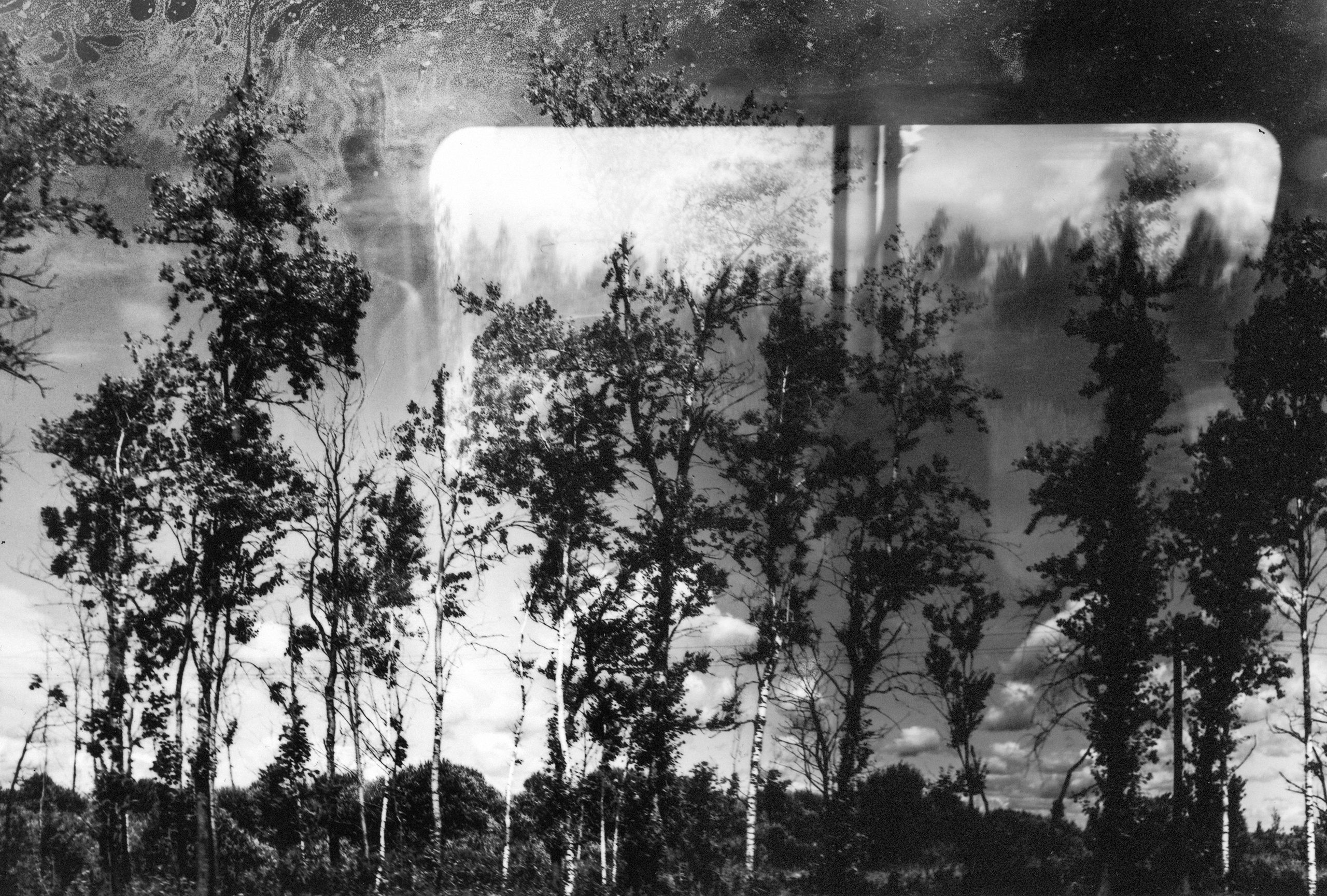 Album cover for sale. Фотограф Мария Немм