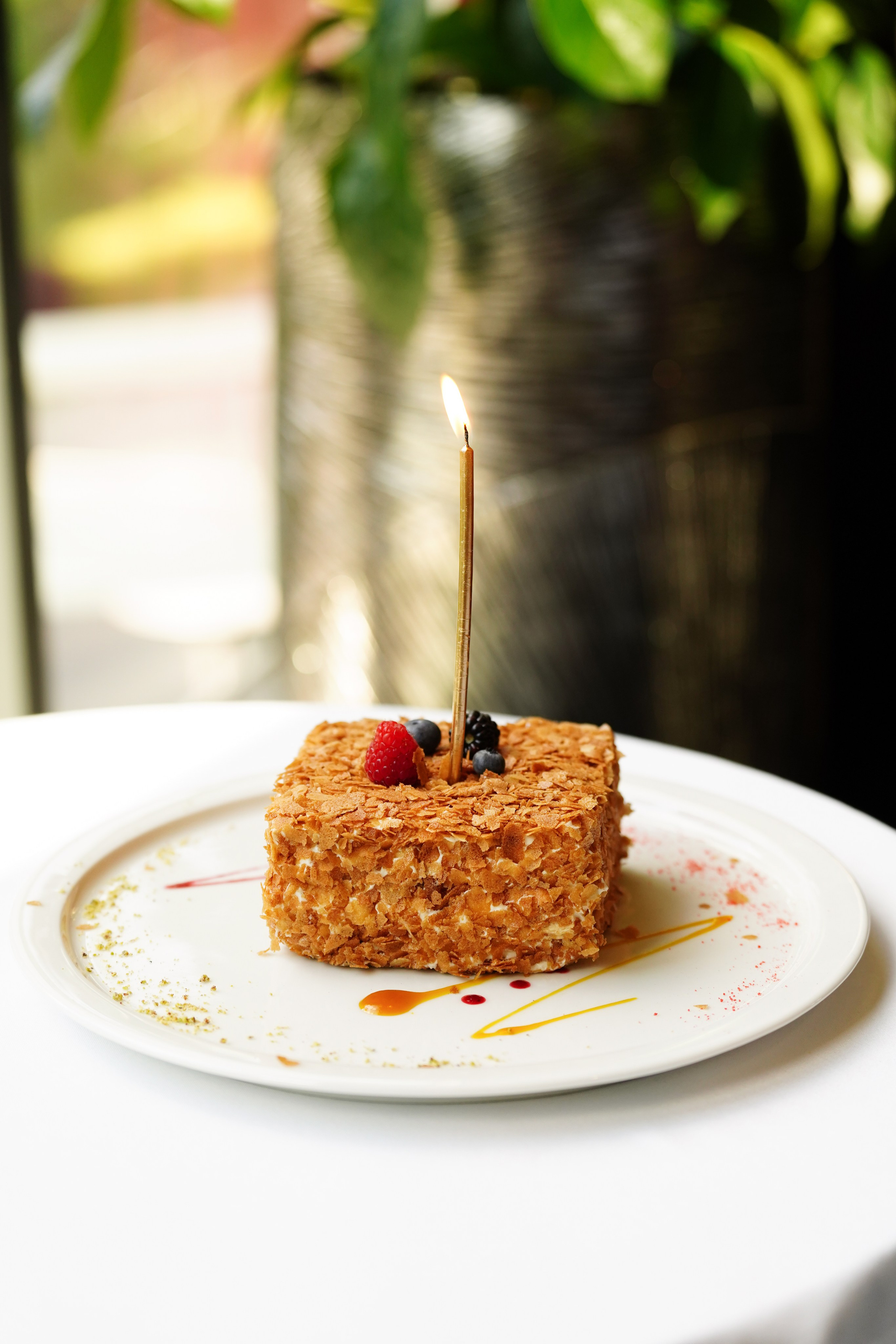 Marani. AMODEO STUDIO