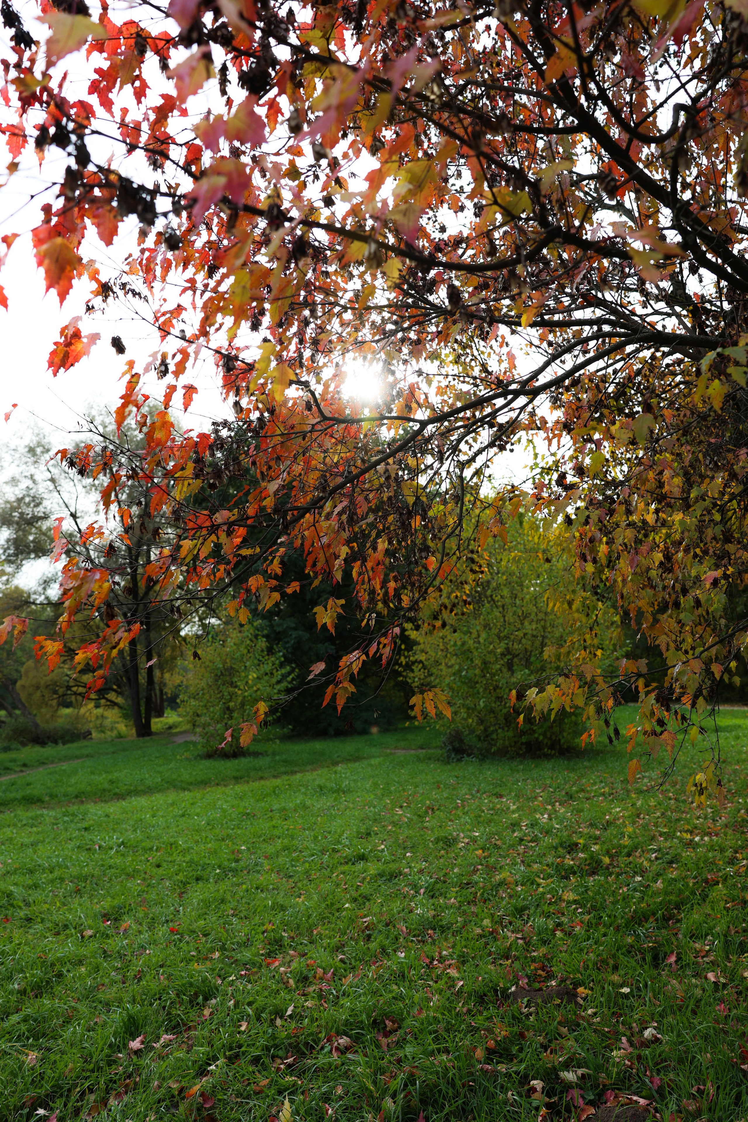 Фотограф Мария Алексеева. Мария Алексеева. Фотограф в Москве