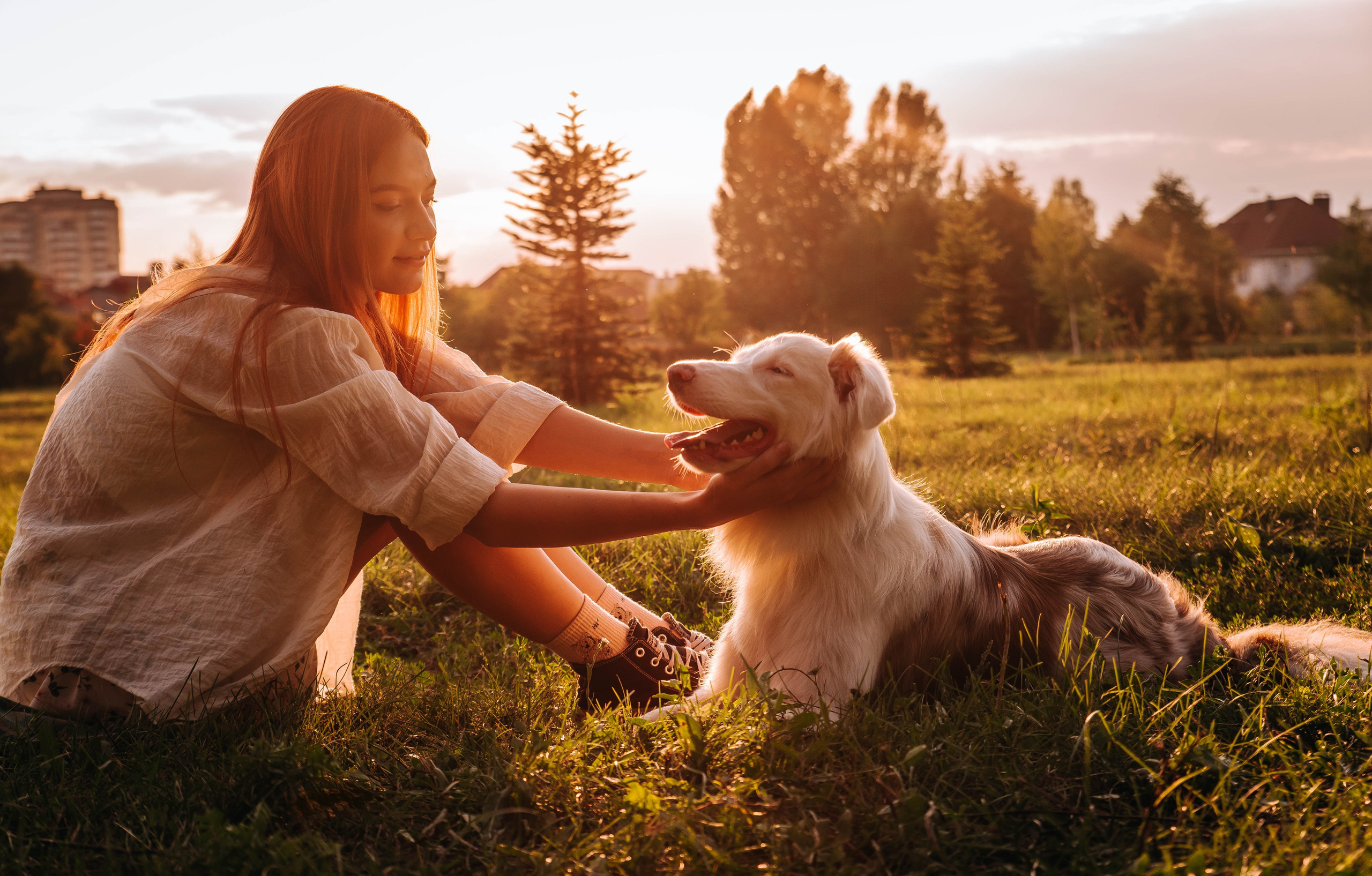 Лиза и Айви. Главная
