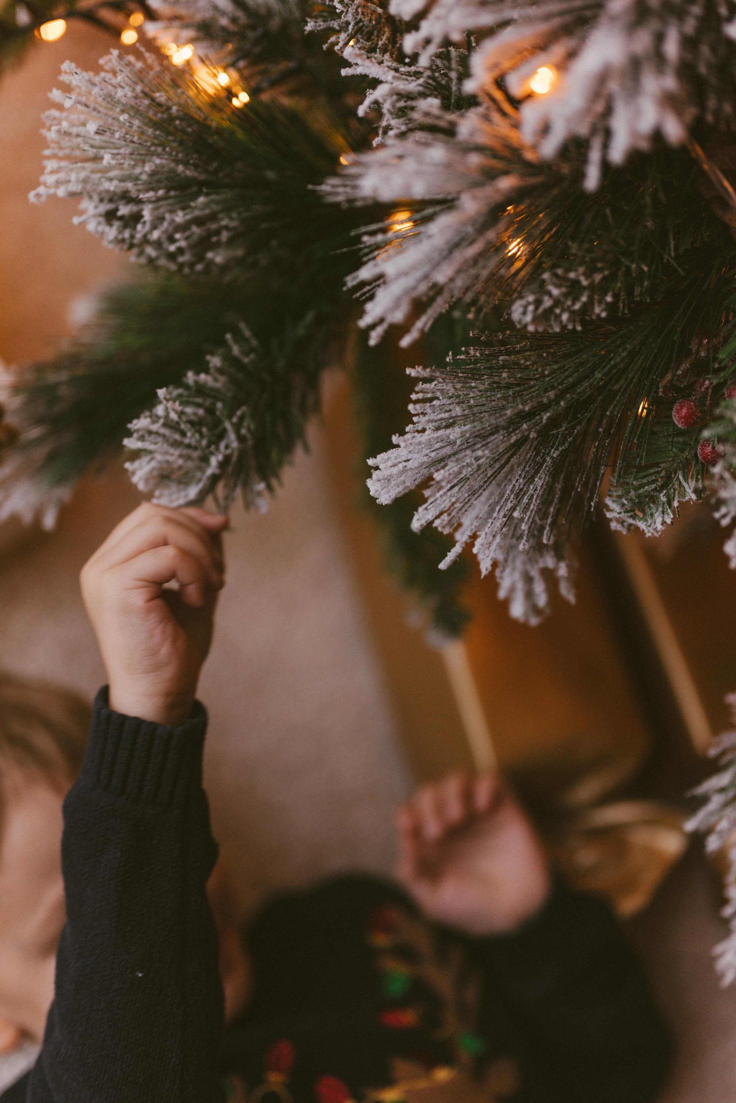 Олег, Анна и Кирилл. Фотограф Кристина Пархоменко