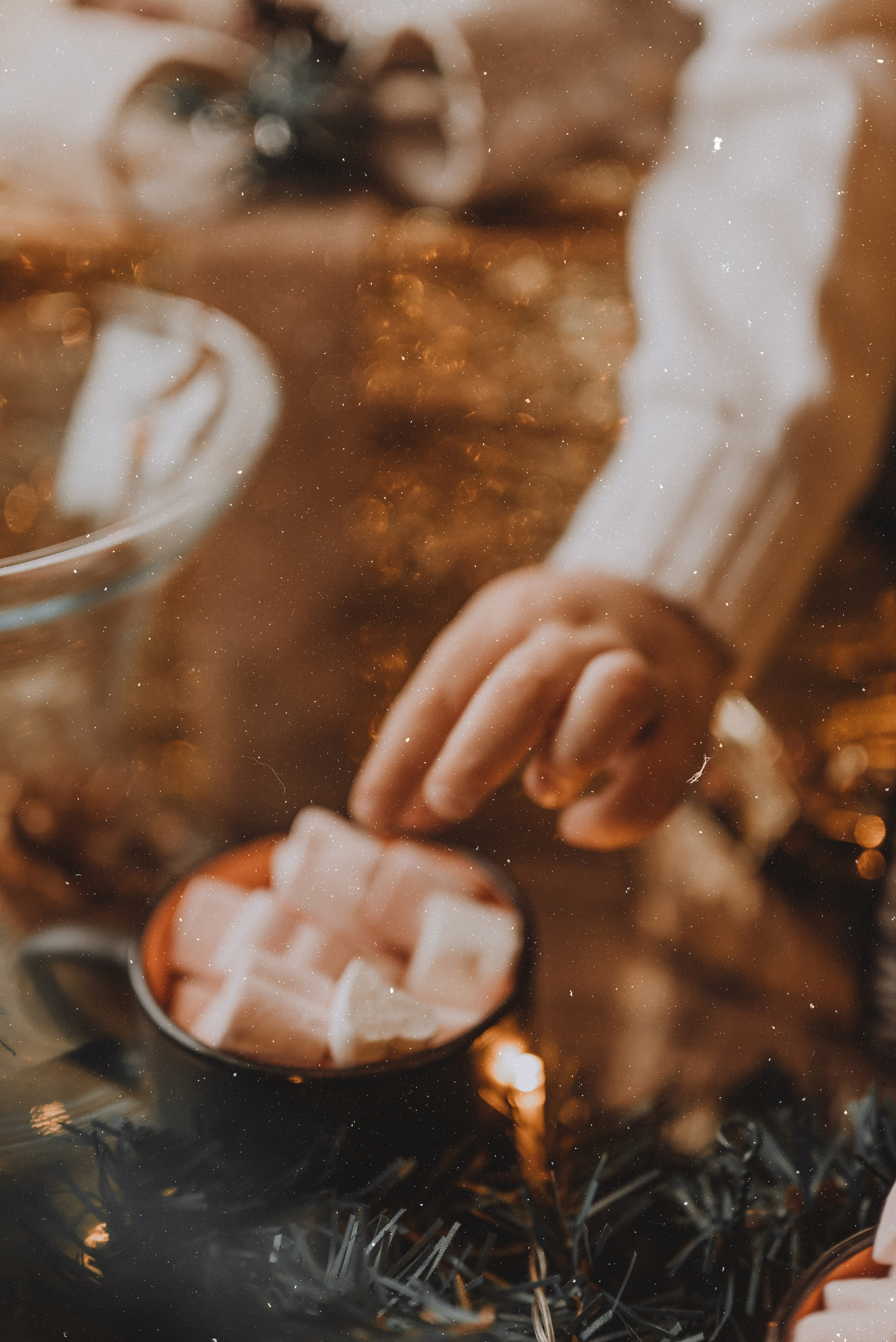 Иван, Дарья, Ярослав и Ростислав. Фотограф Кристина Пархоменко