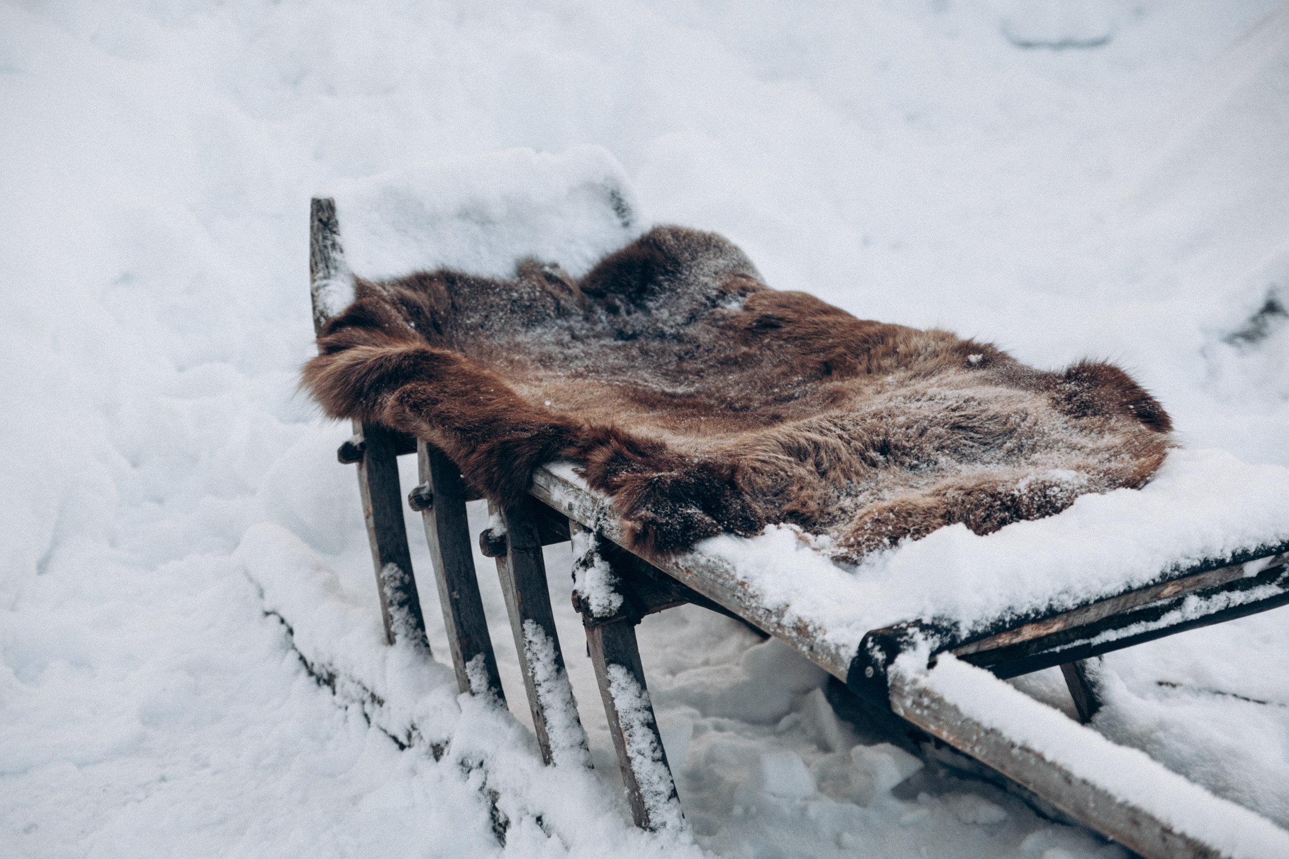 Териберка 2025. Репортажный и детский фотограф в Минске