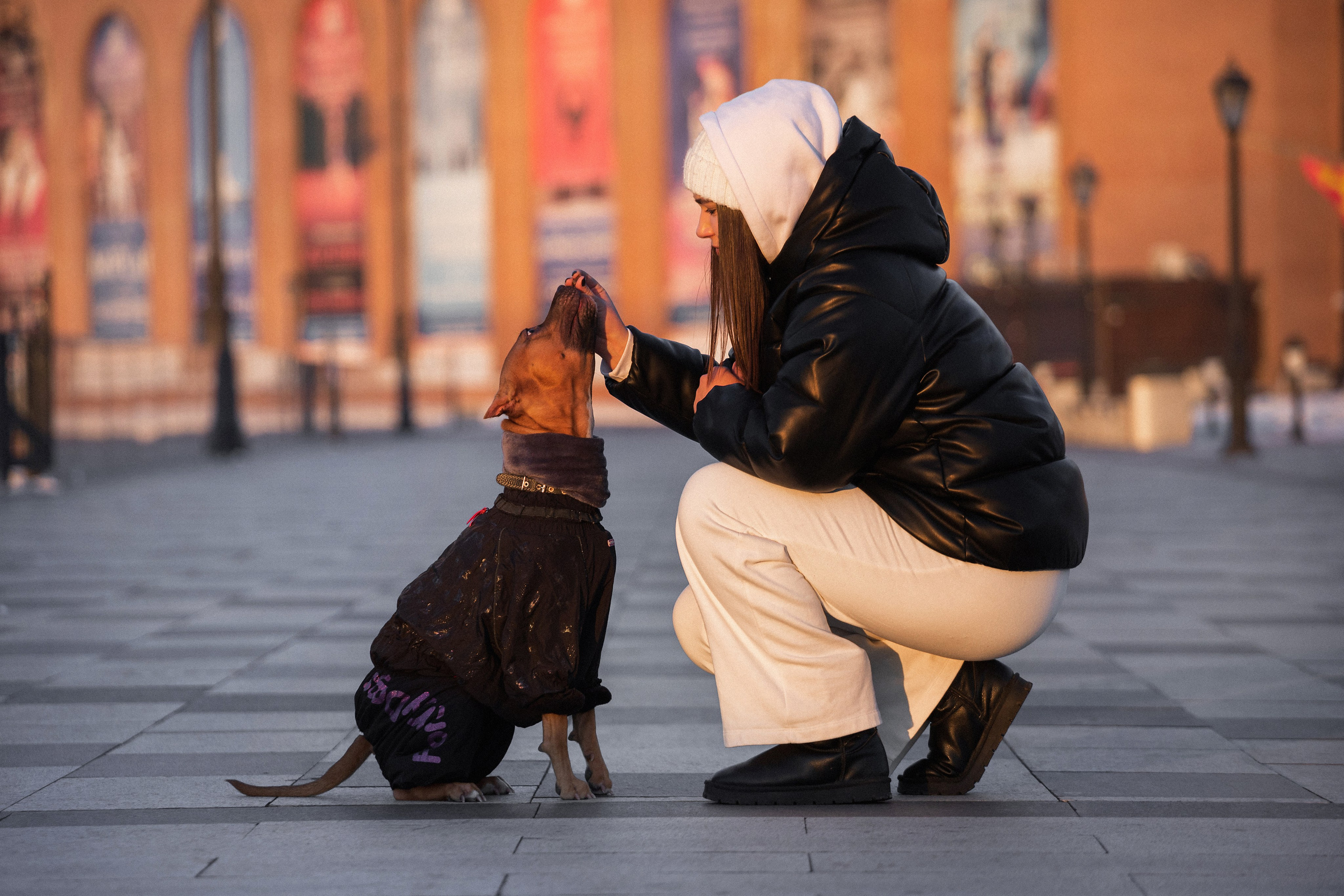 Арина и Стэфи. Фотограф — анималист Владивосток, Алина