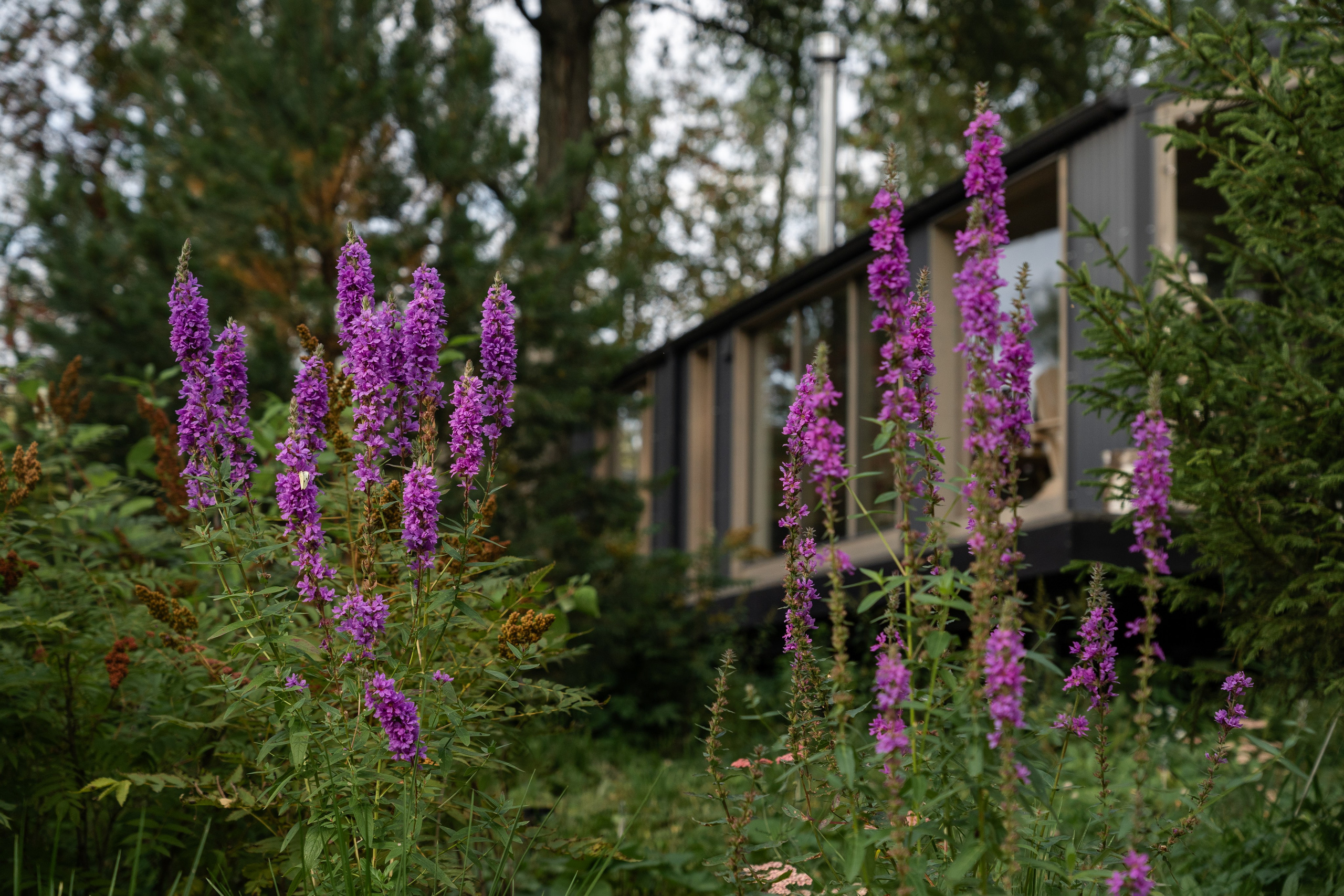 DublDom. Артамонов Александр | Архитектурный и ландшафтный фотограф