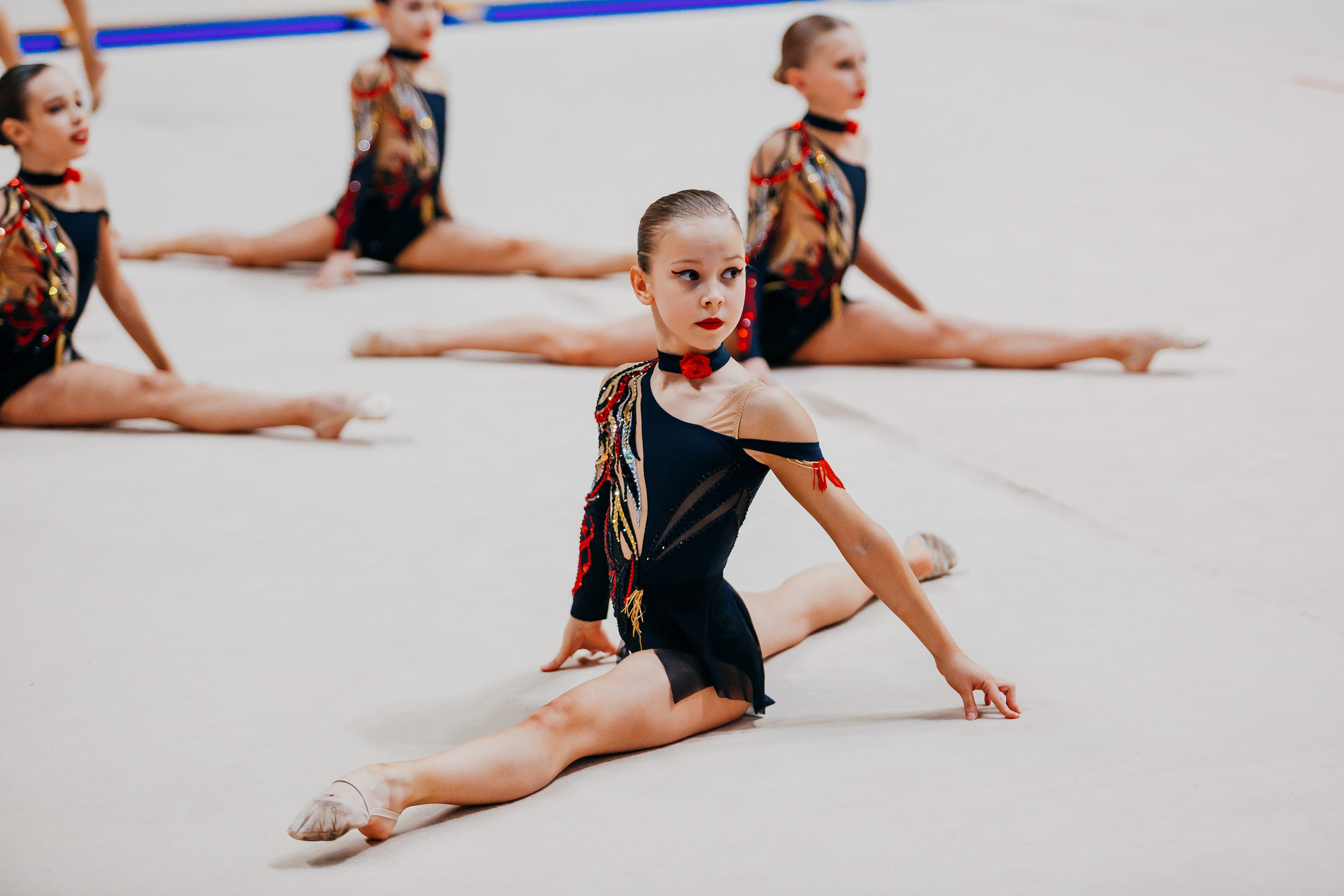 Кубок России по эстетической гимнастике. Спортивный фотограф Александр Васильев. RG и AGG