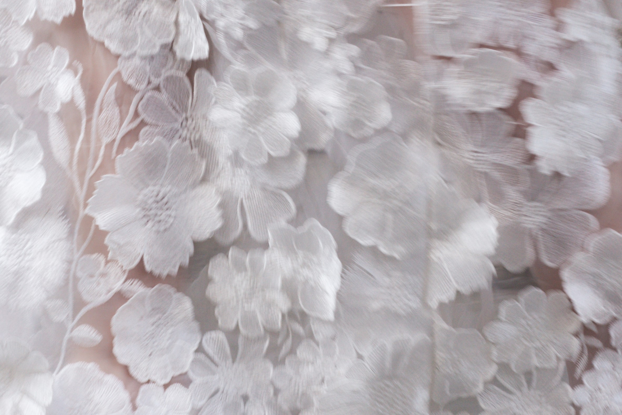 Саша + Наташа. Семейный фотограф Елизавета Увицкая