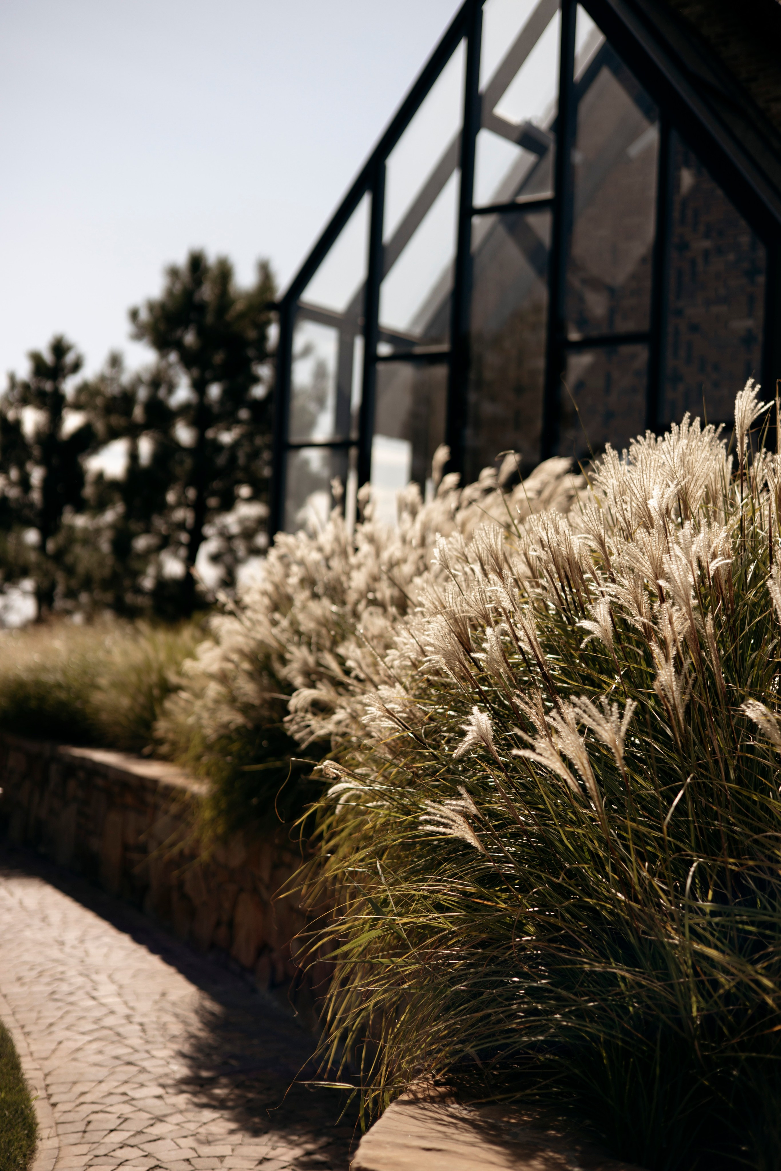 Артем и Алина. Nikolpinhasova