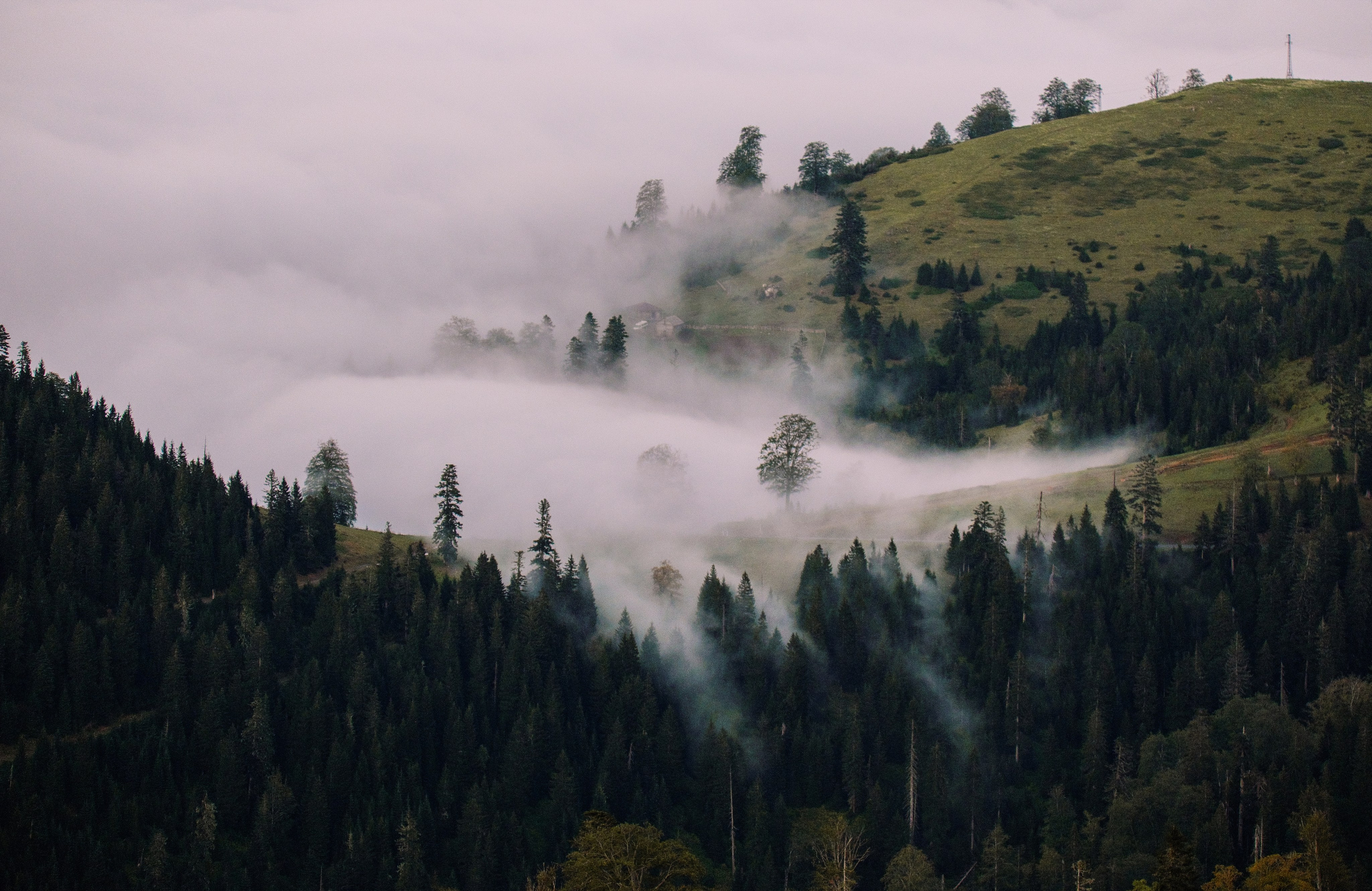 Фотографии для интерьера. Oleg Samoilov is a documentary photographer for brands that value an honest story