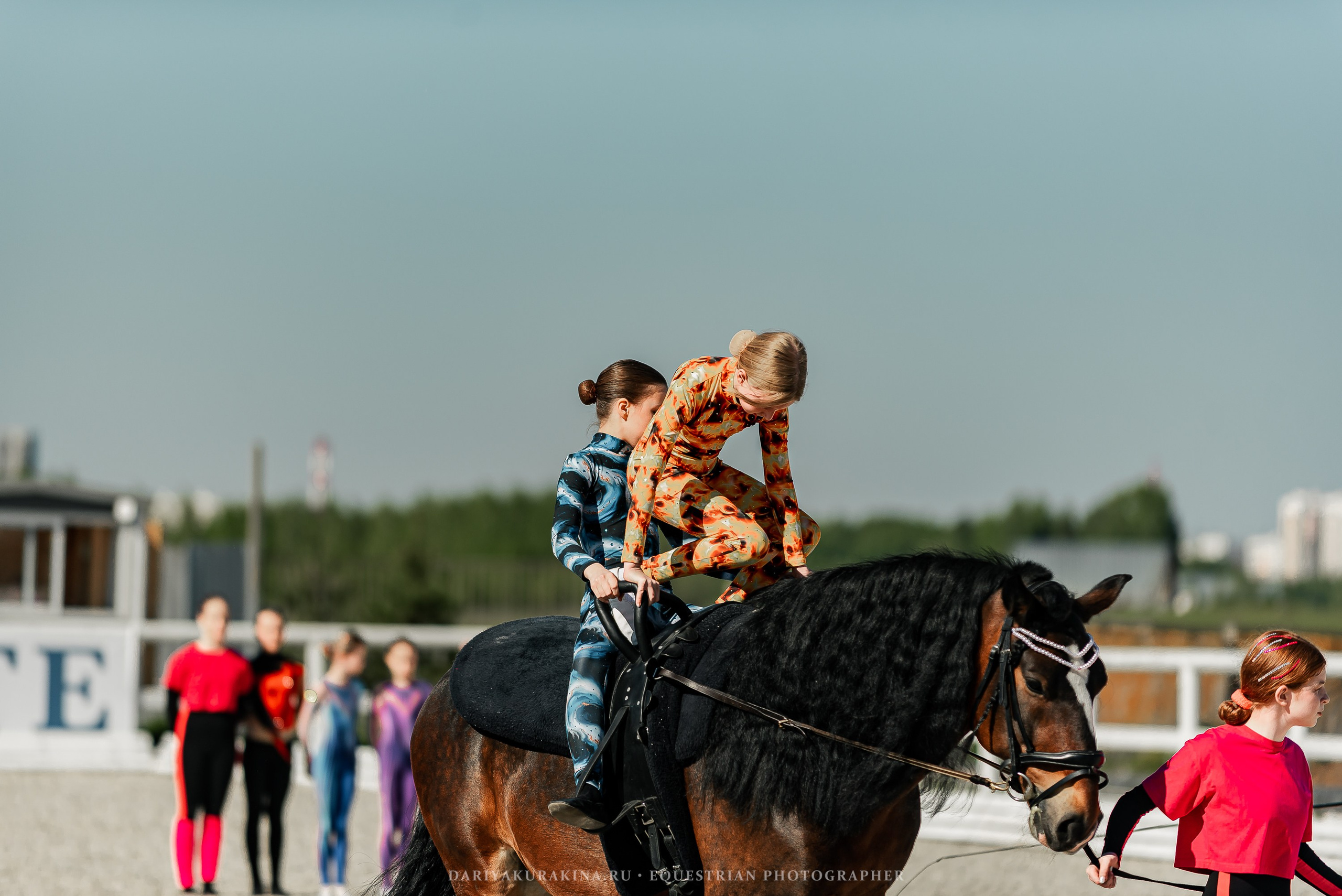 РЕПОРТАЖ МКК ВОЛЬТ «LA TULIPS». Конный фотограф Куракина Дарья • Фотосессии с лошадьми