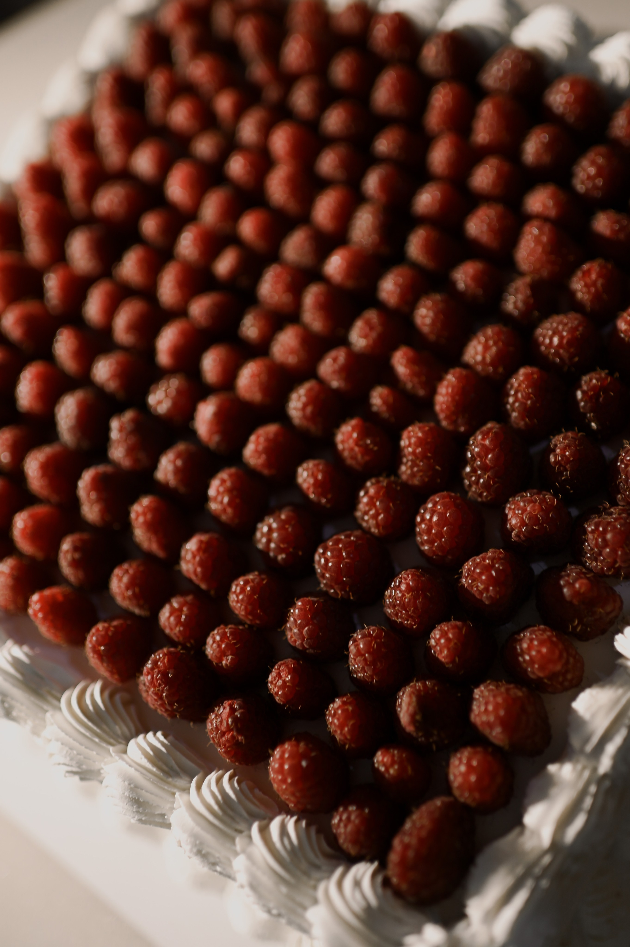 Elena & Ardnie. I AM — PHOTO | VIDEO | PRODUCTION