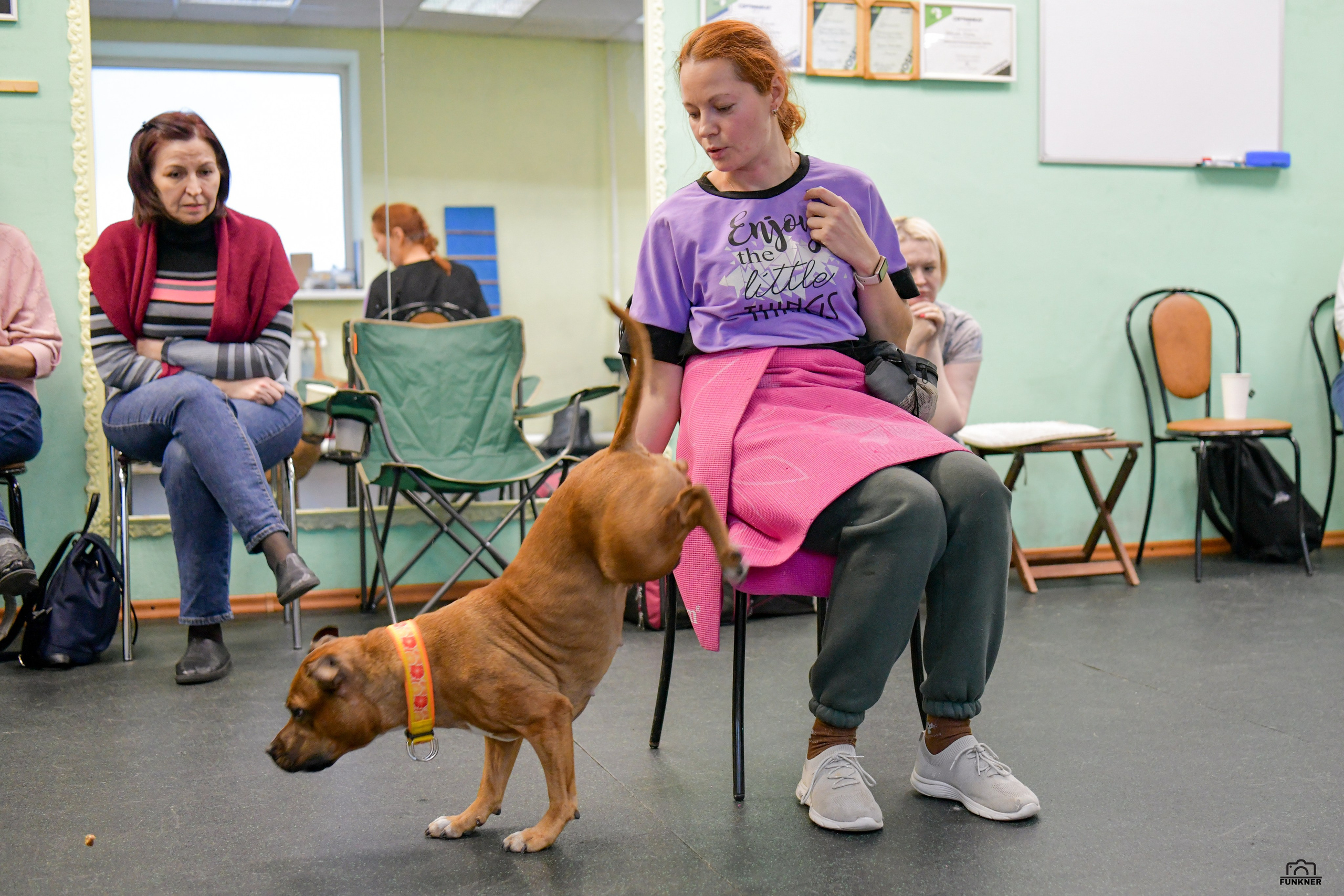 Кинологический клуб «Бодрый хвост». Свой взгляд через объектив