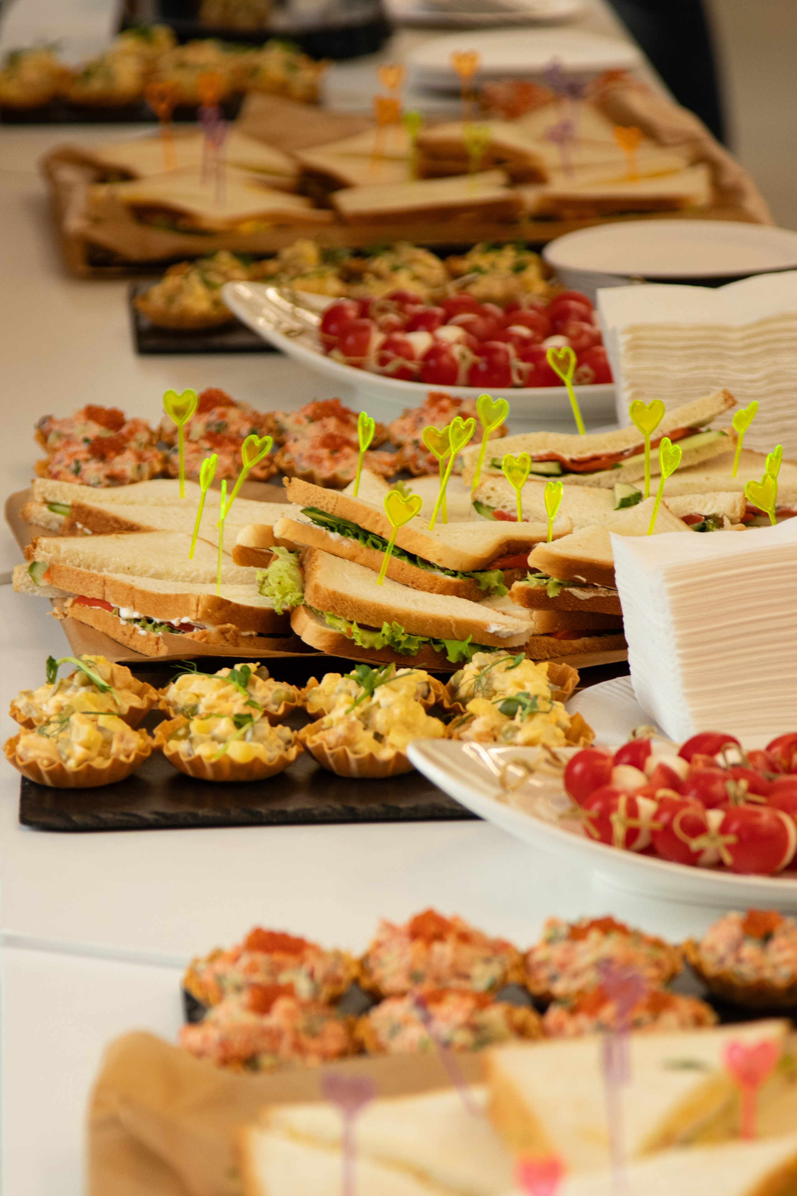 Пресс-конференция Ананда. Фотограф в Нижнем Новгороде Екатерина Хисматулина