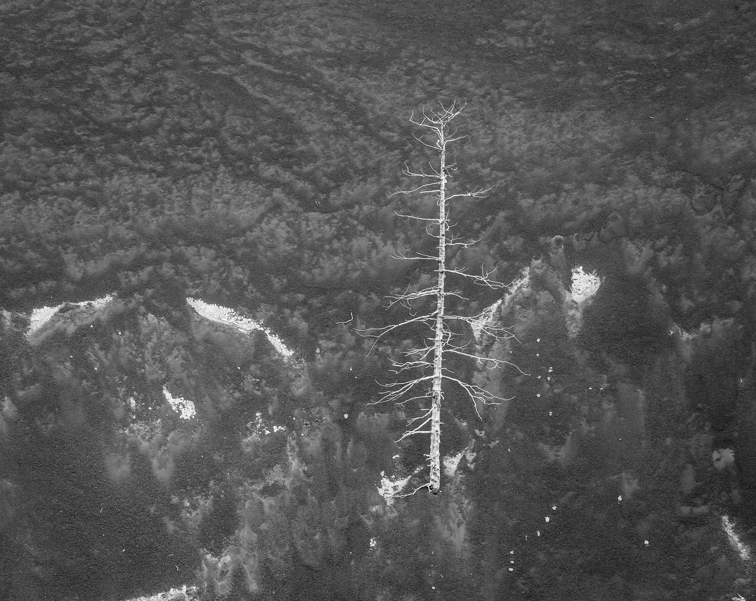 Камчатка. Фотограф Владимир Медведев