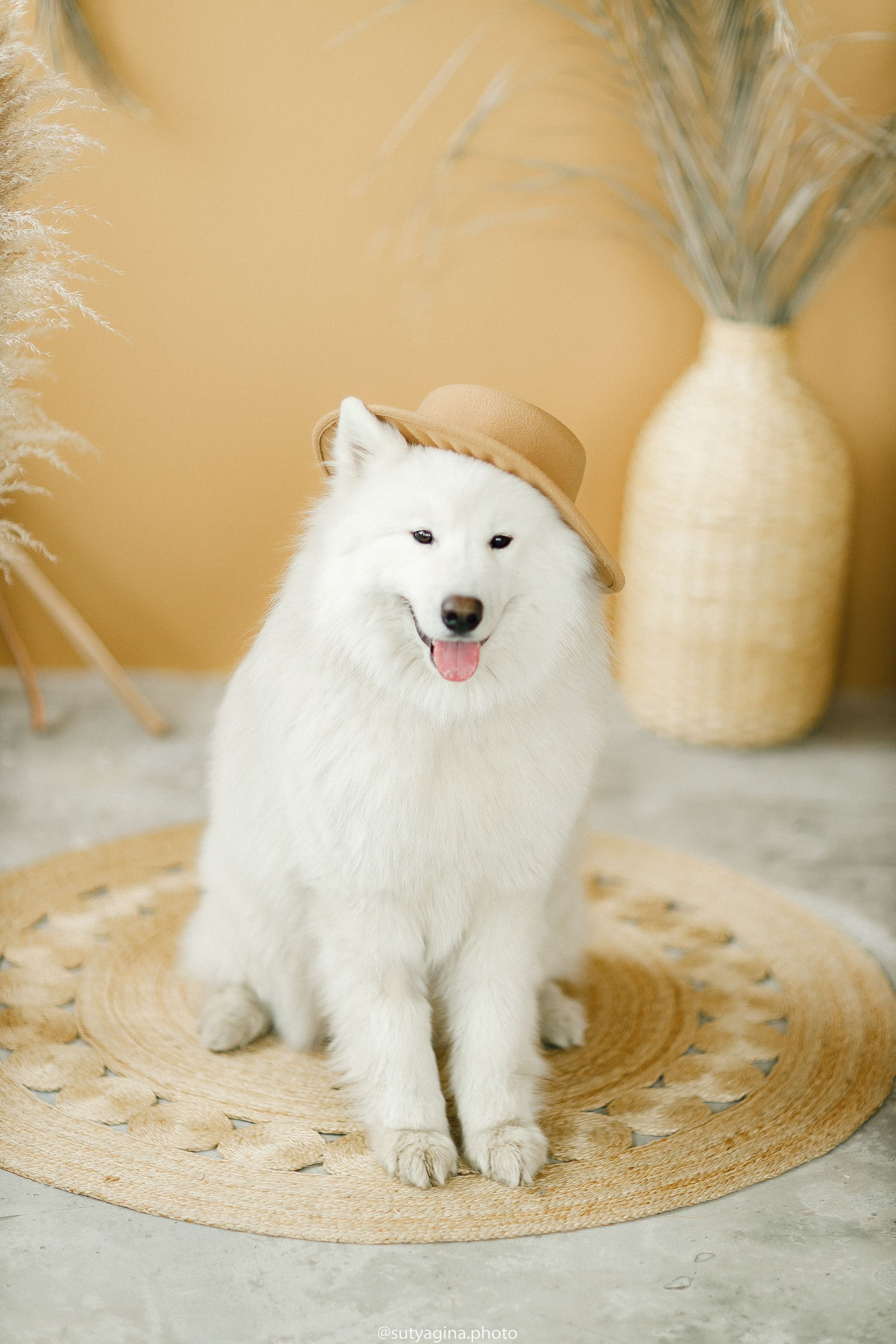 Самоед Мартин. Свадебный и женский фотограф
