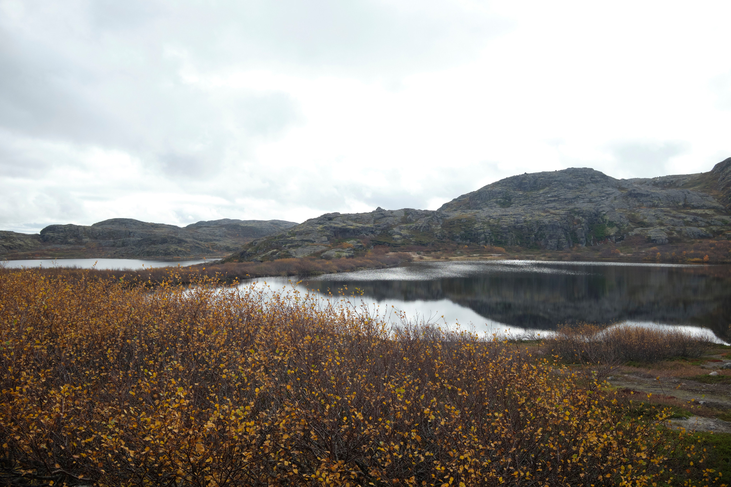 Путешествие в Териберку. Елена Павленко. Фотограф. Москва