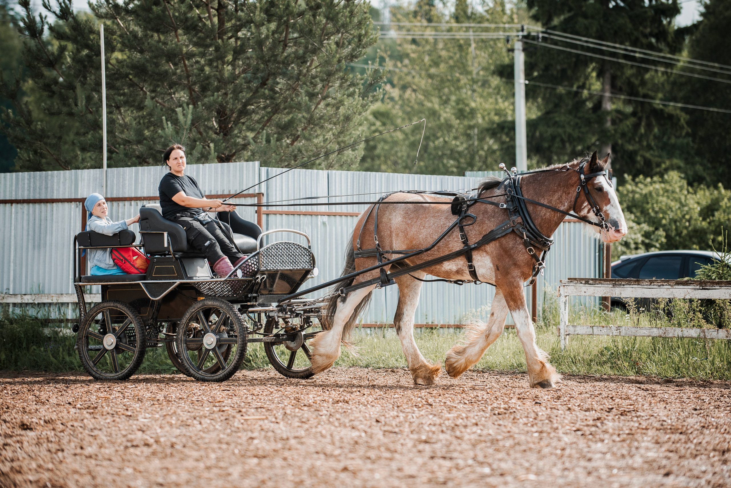 KOMARDINS. Конный фотограф Куракина Дарья • Фотосессии с лошадьми