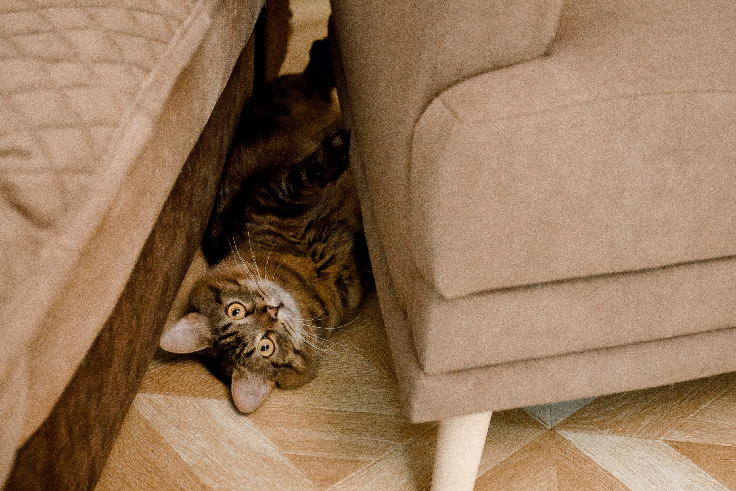 Свадьба Людмилы и Дмитрия. Фотограф Петр Капралов