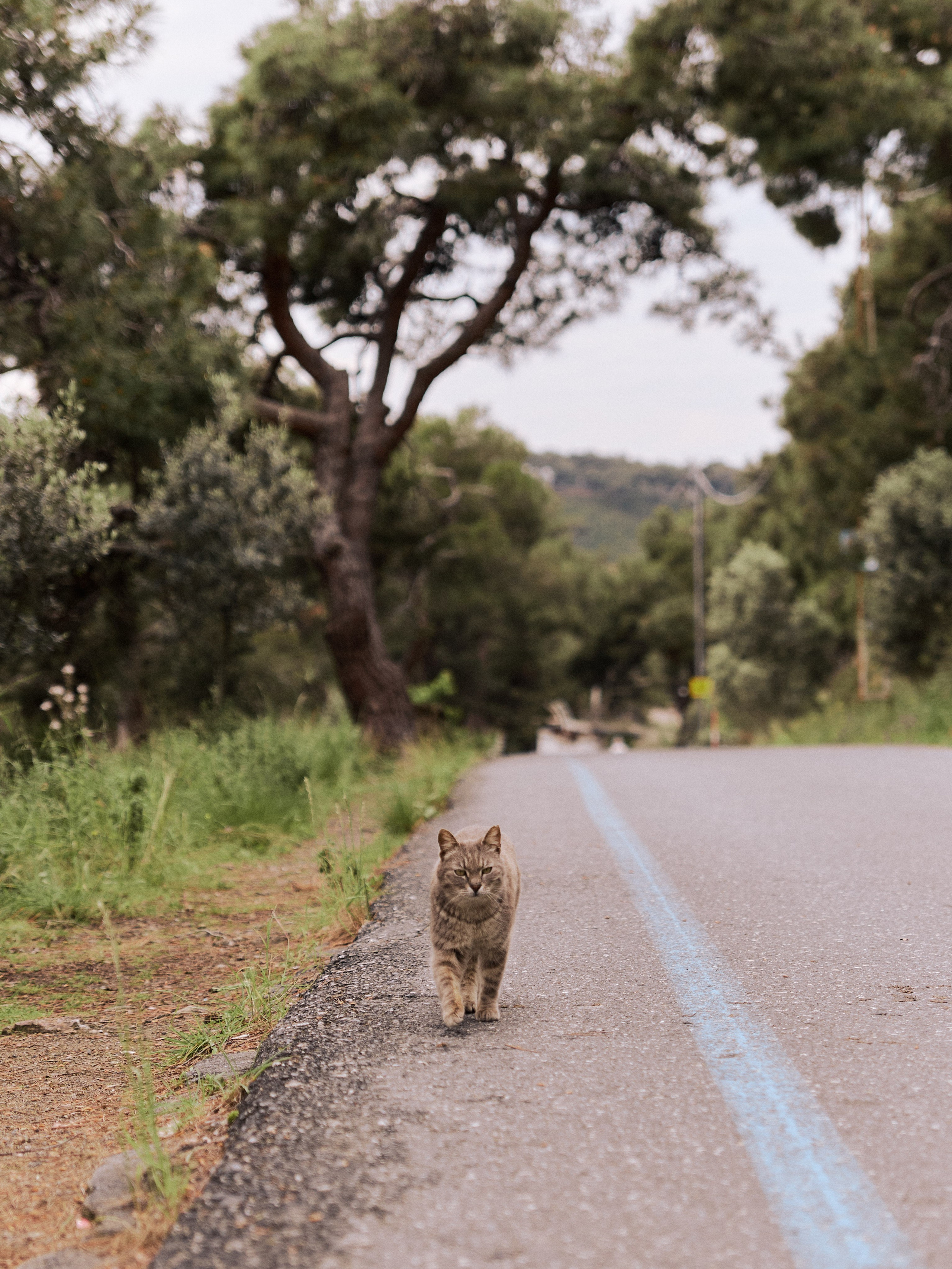 Диптих. Jorgis — фотограф в Хургаде / обучение фотографии