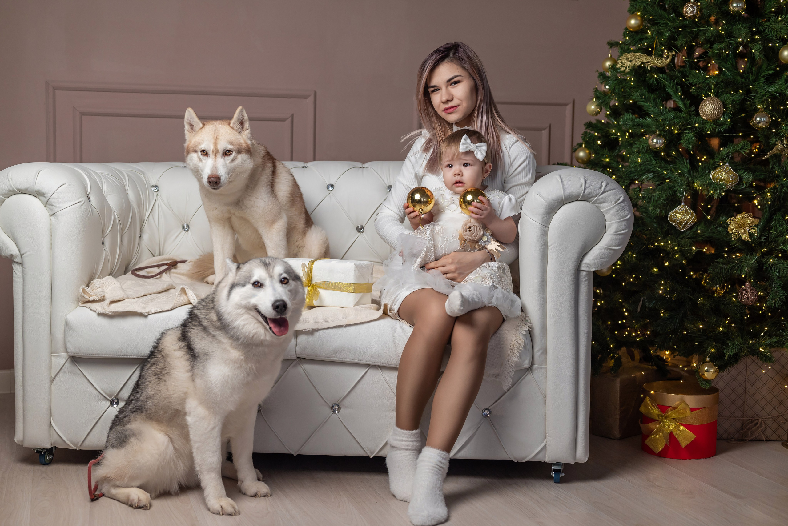 Фотопроект с хаски. Фотограф в городе Салават