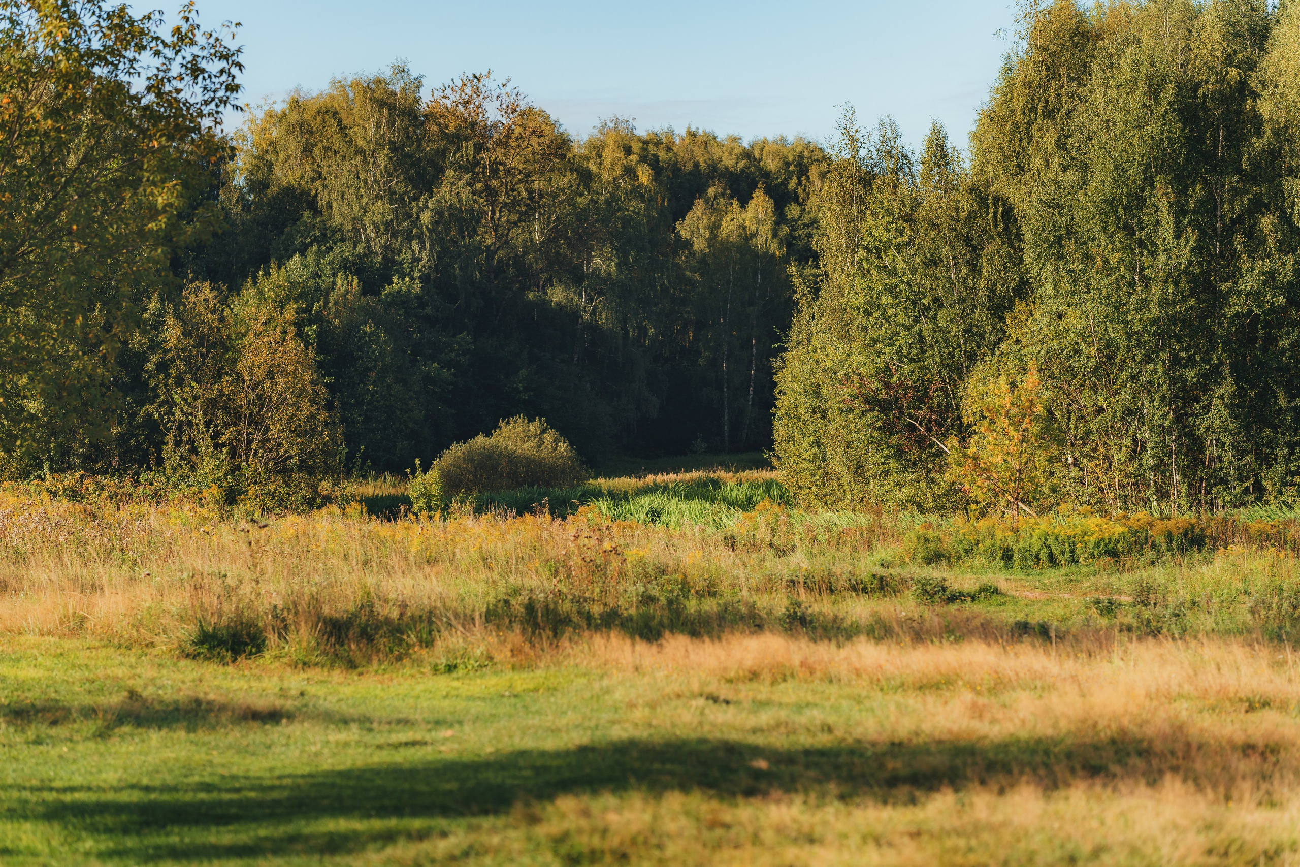 Татьяна, Щелково, побережье Клязьмы. Наталья Дукалова фотограф Щелково Королев Пушкино Москва Балашиха