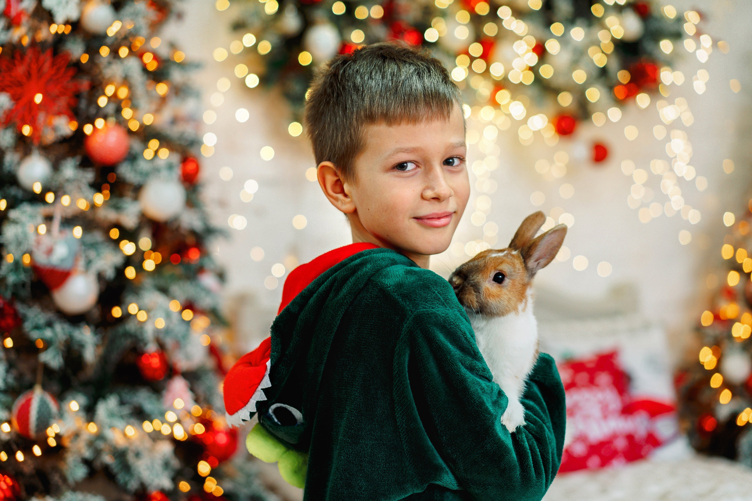 Новогодние фотосессии «Зимняя сказка 2023-2024». Свадебный и семейный фотограф в Липецке Натали Бриз