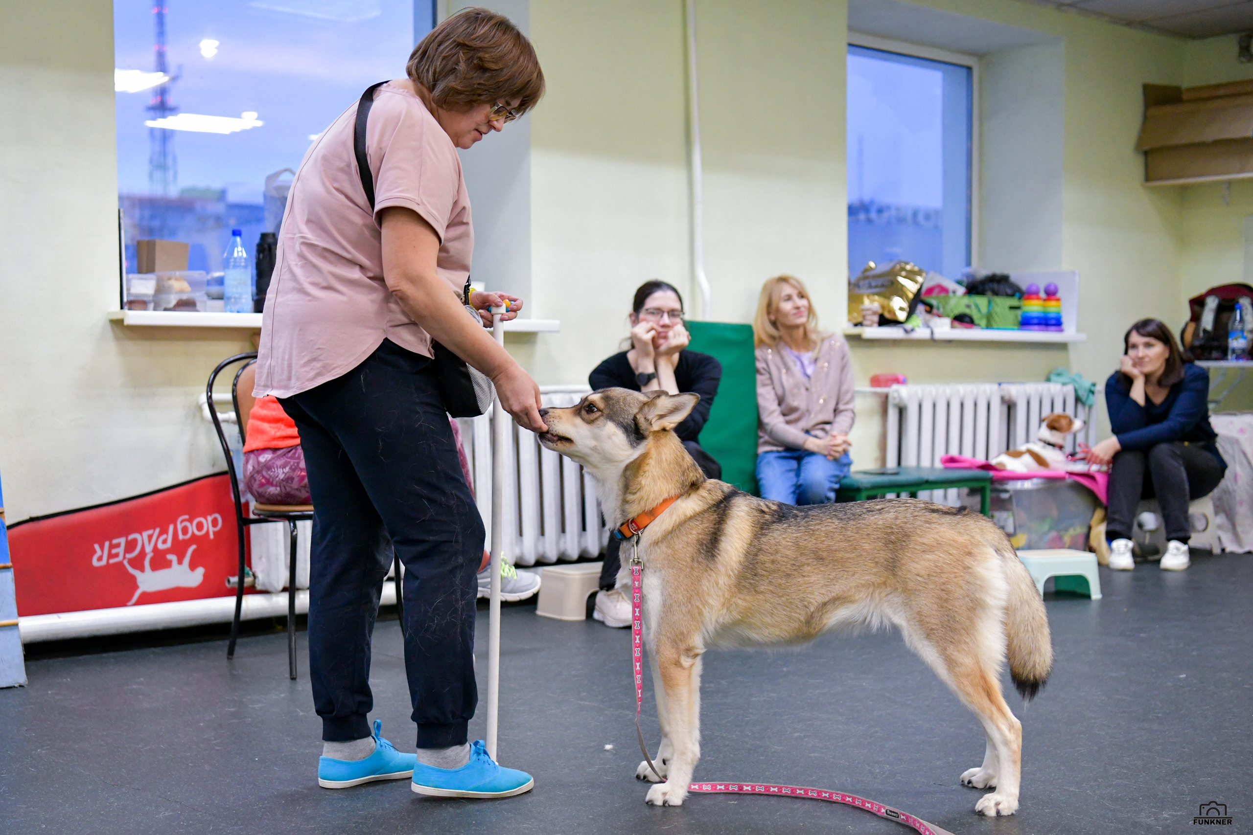 Кинологический клуб «Бодрый хвост». Свой взгляд через объектив