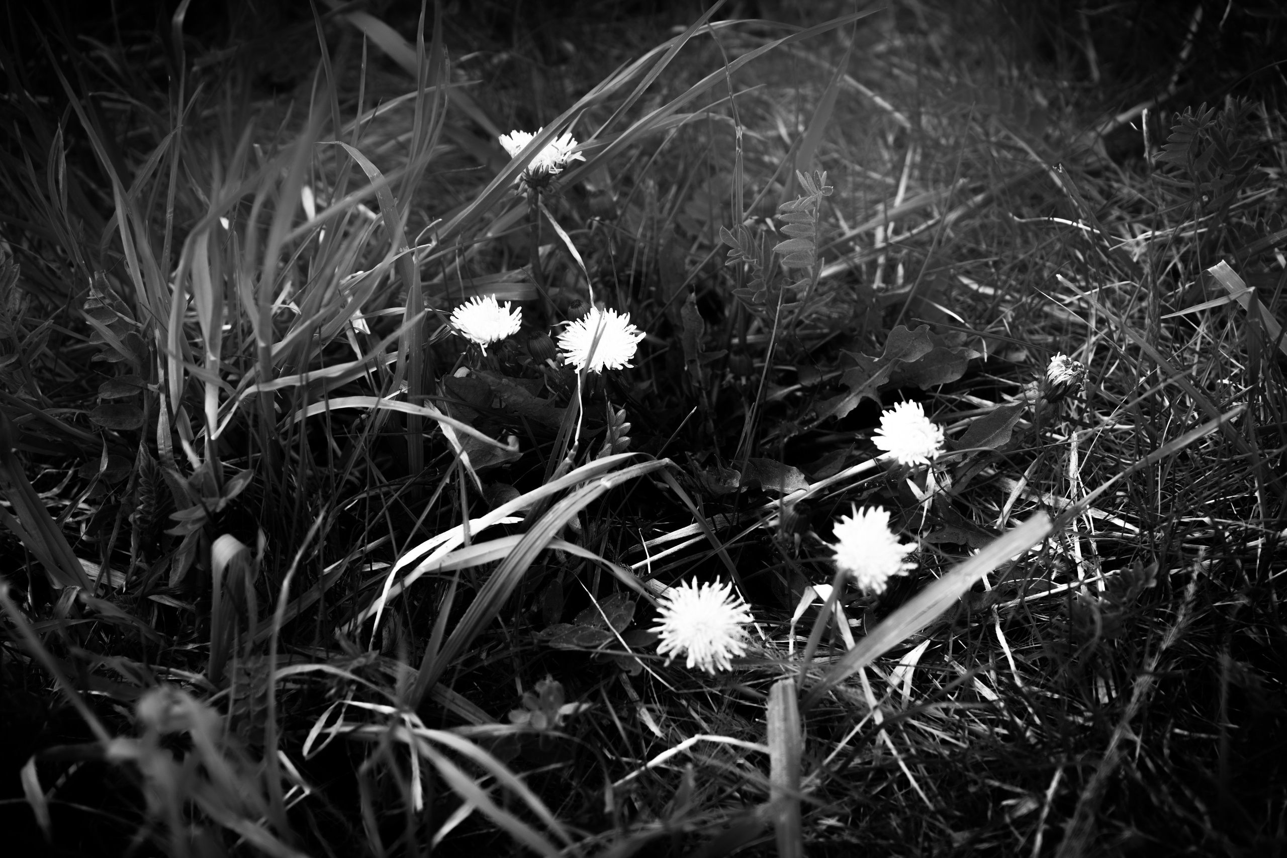 Пейзажи / Природа. Polypolarphotography