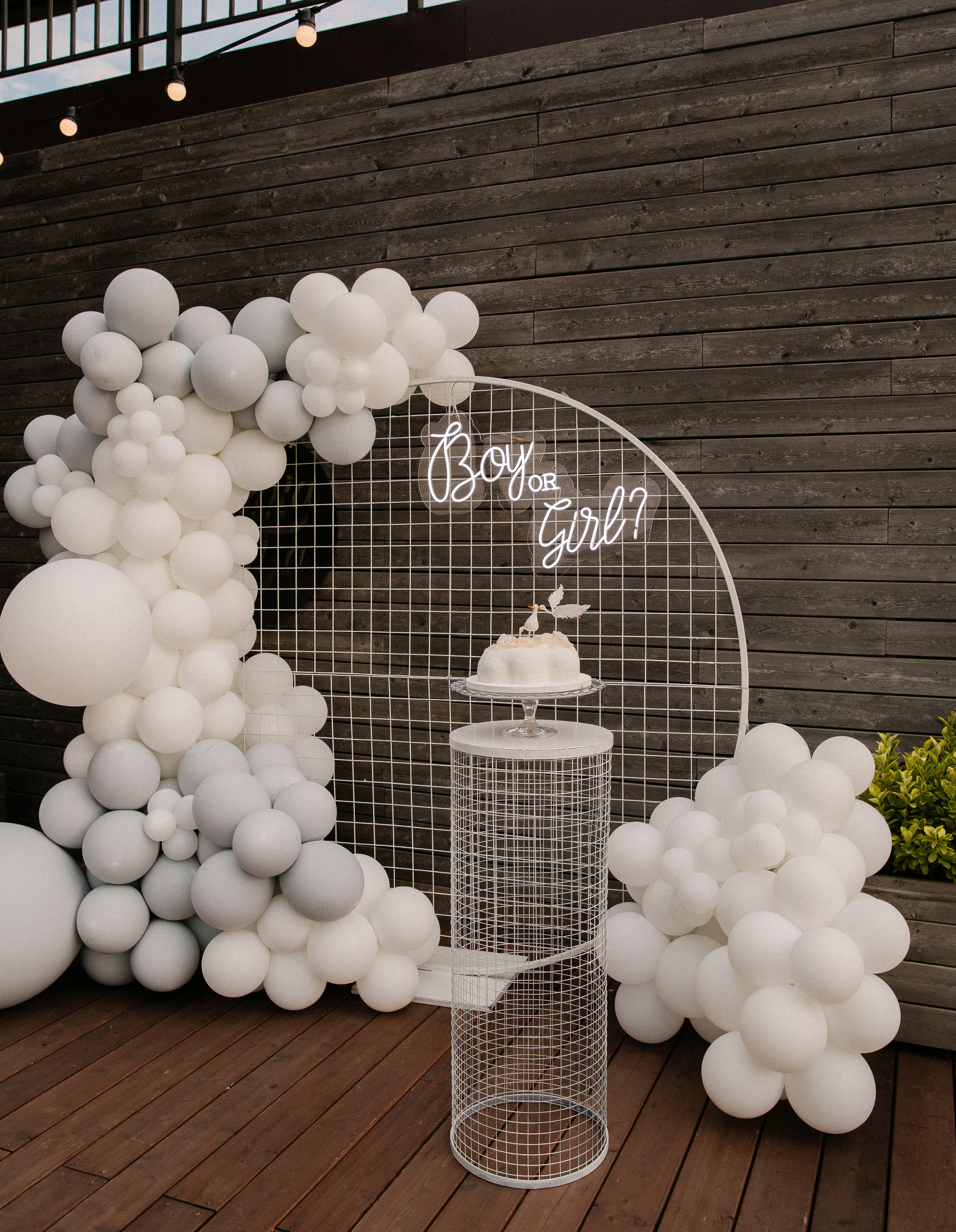 Гендер-пати для Иры и Артема. Фотограф в Краснодаре и Краснодарском крае