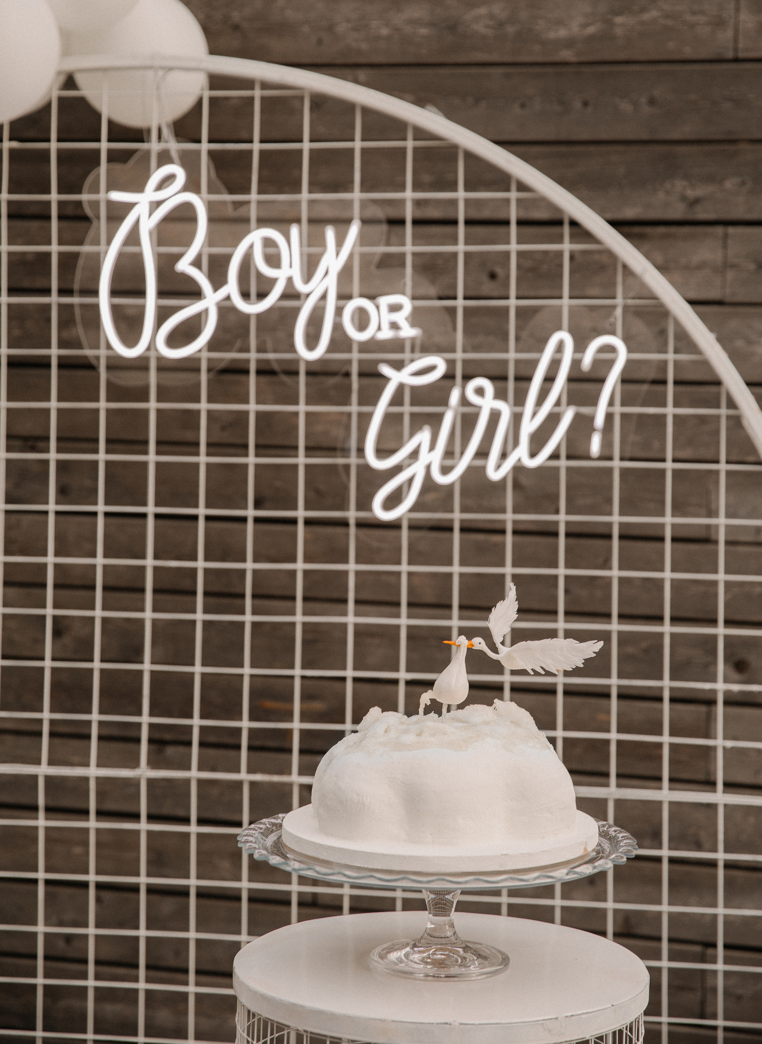 Гендер-пати для Иры и Артема. Фотограф в Краснодаре и Краснодарском крае