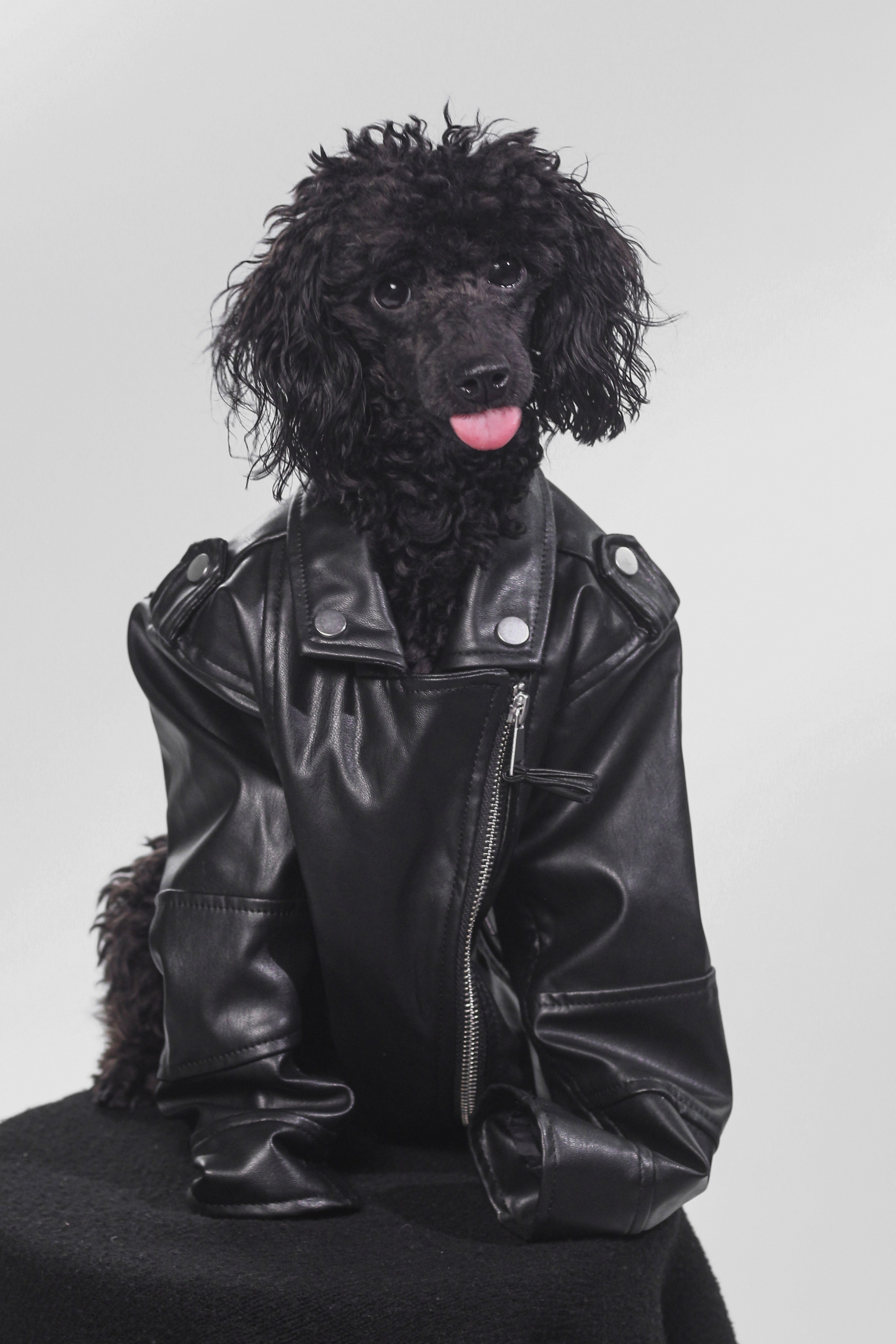 Мишелька и ее хозяйка. Портретный фотограф DanilNabody