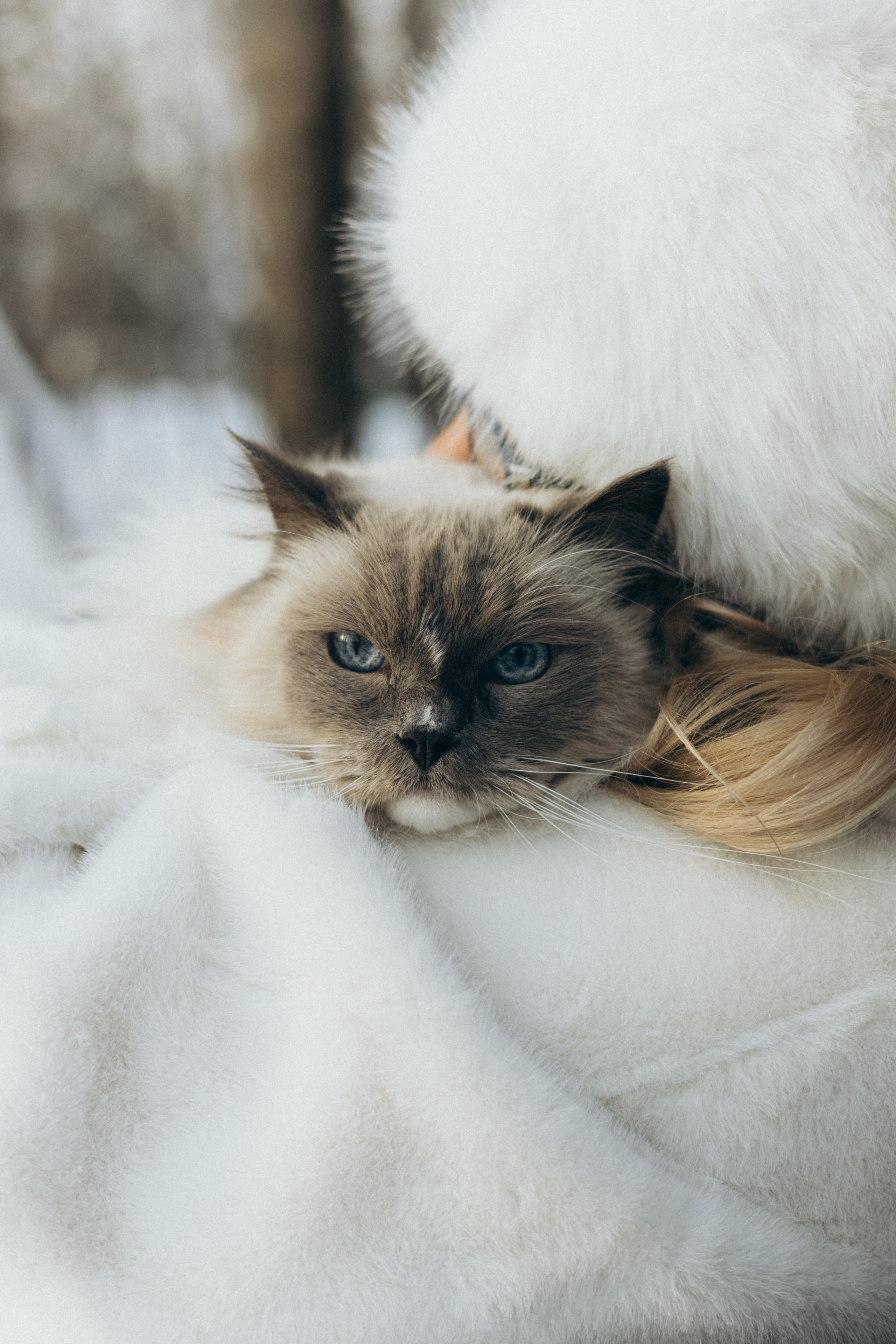 Семейная в зимнем лесу. Привет! Меня зовут Лера, я фотограф в Нижнем Новгороде