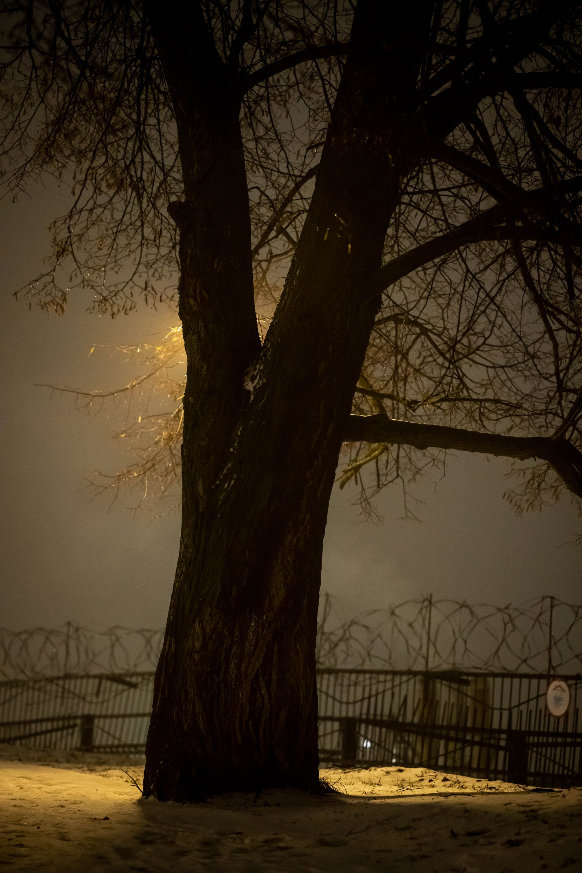 Новогодняя фотосессия в Костроме. Портретный фотограф в Костроме Наталия Клевинскас