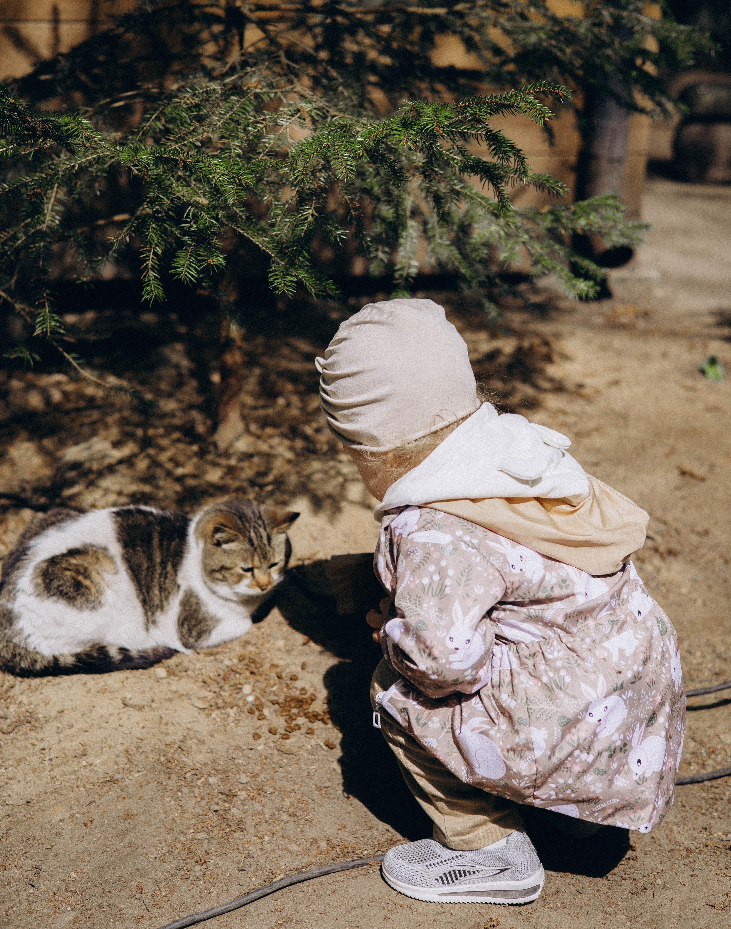 По Калининградской области. Фотограф Кострома | Калининград