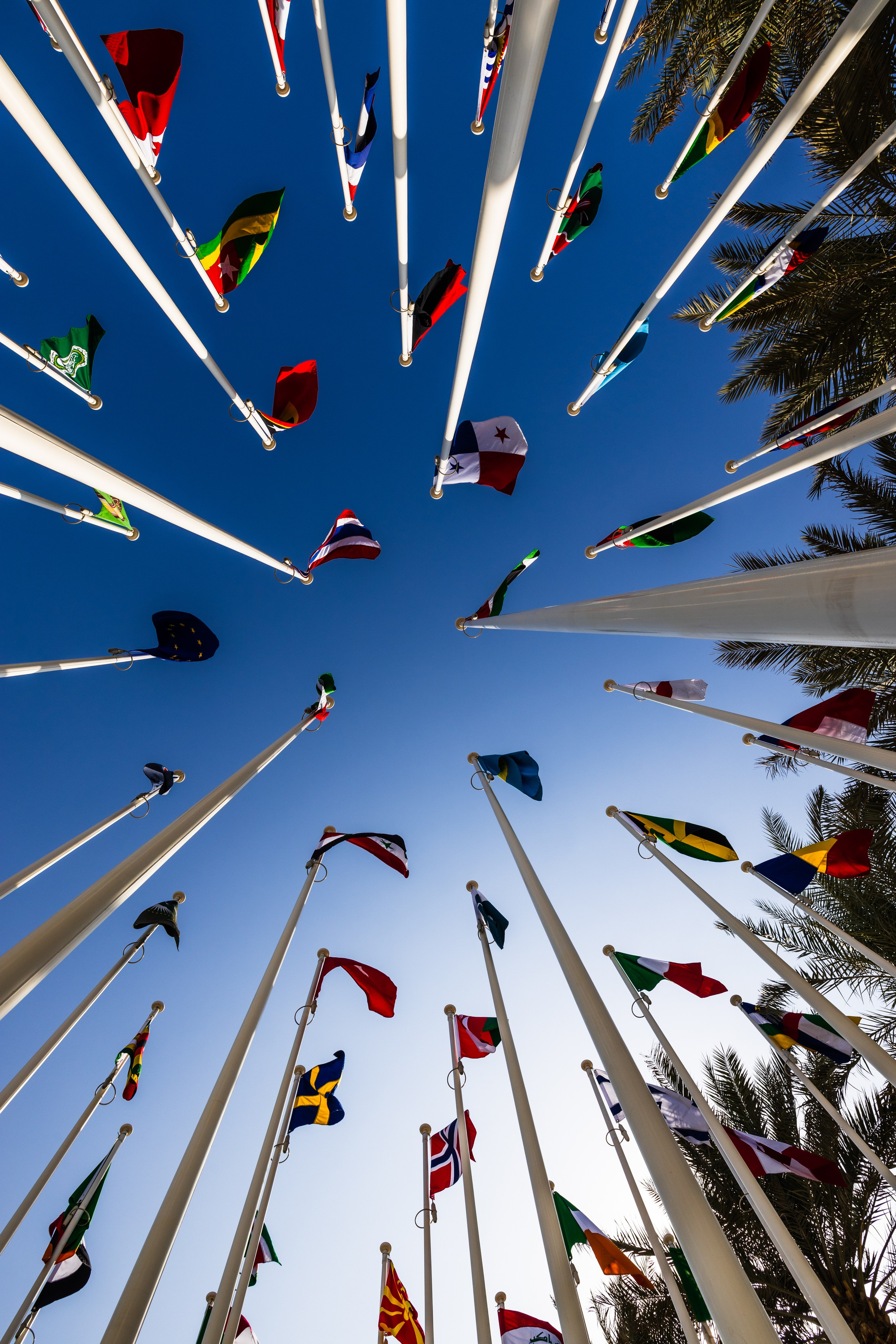 Дубай 2023. Руслан Плахтеев