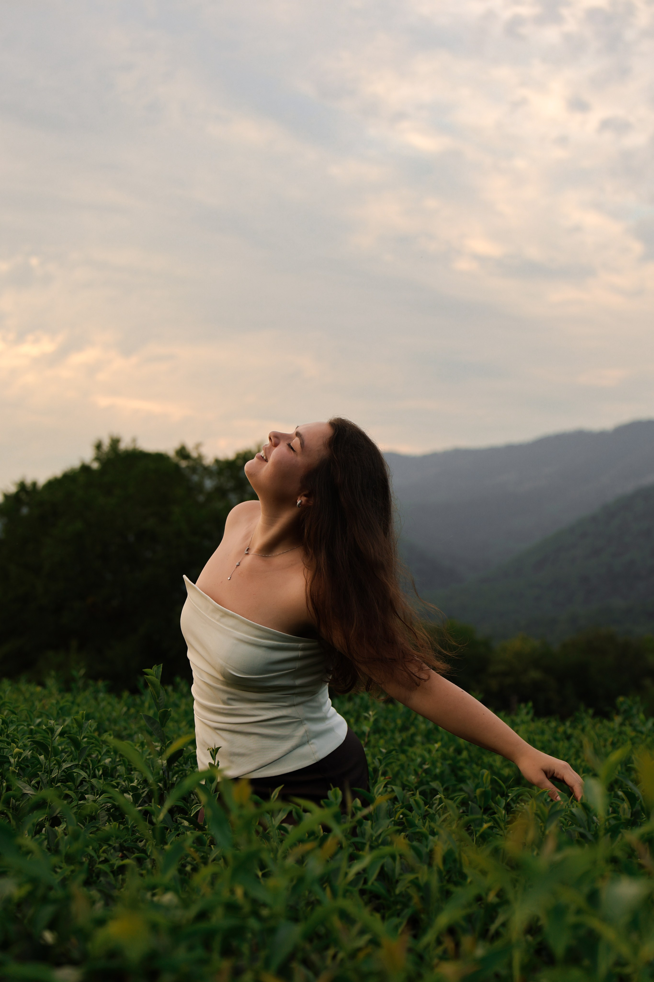 ЧАЙНЫЕ ПЛАНТАЦИИ. Фотограф Москва Оля Олбимак