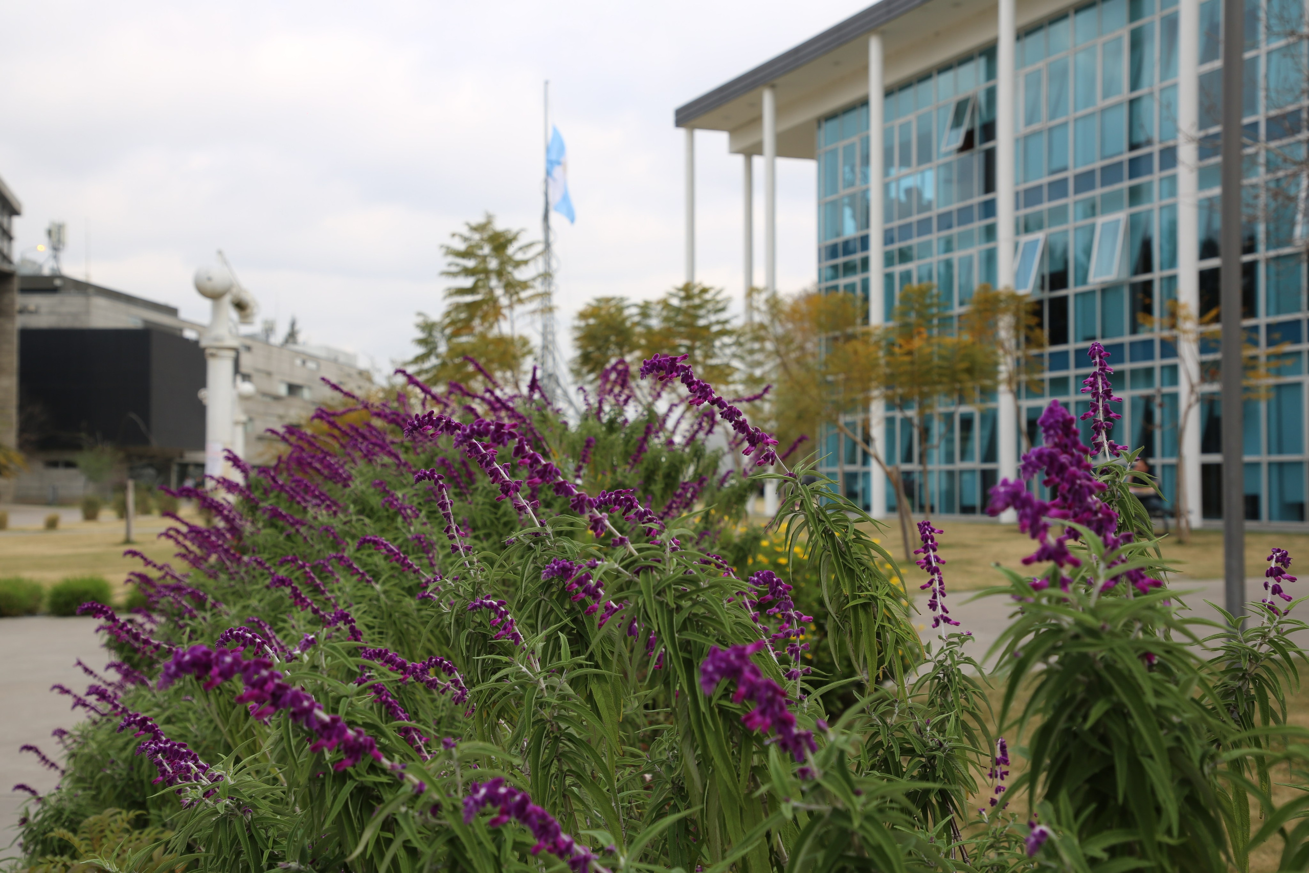 Buenos Aires, Argentina. Andrey Filippov Photographer