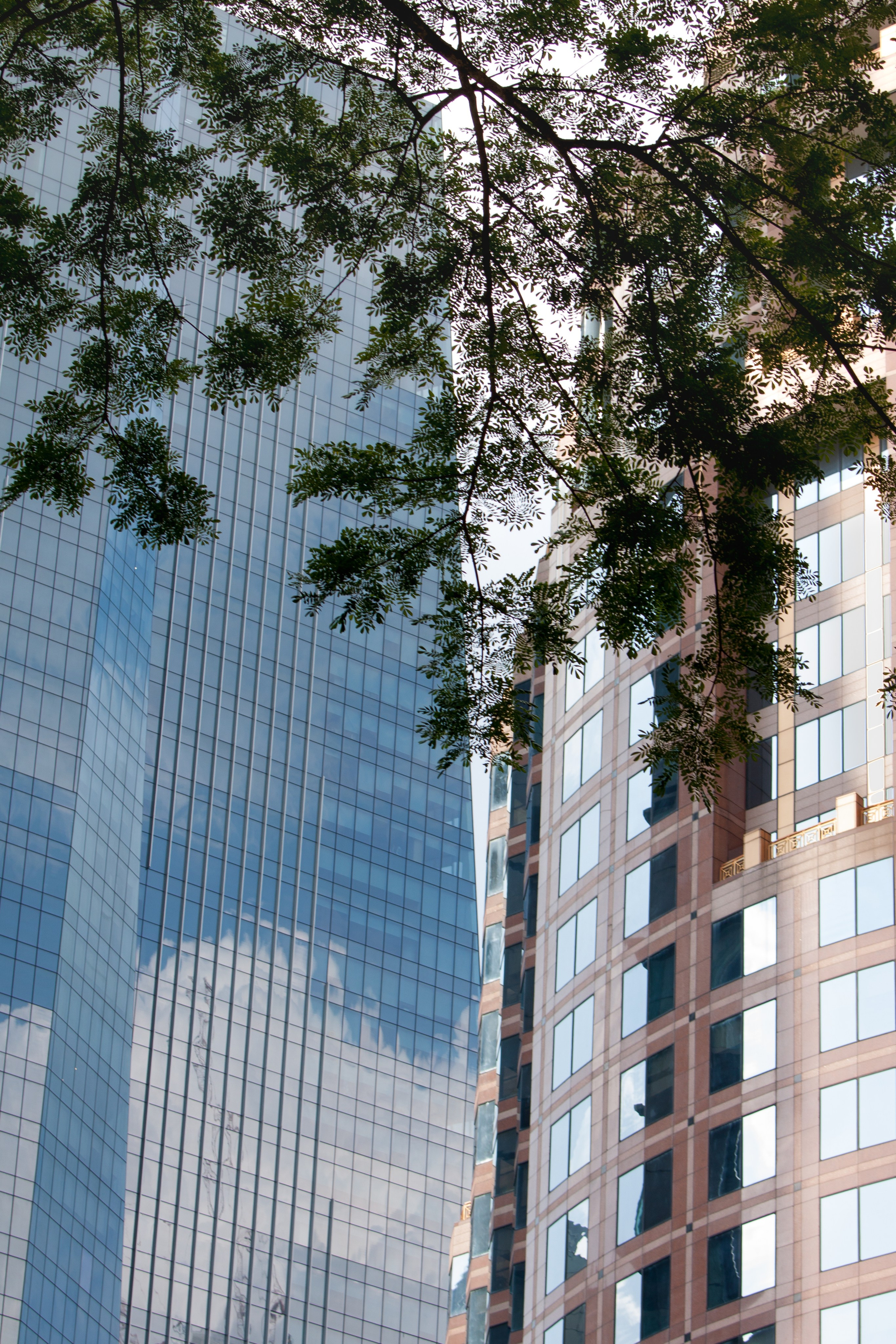 Malaysia. Дария Галямова — фотограф: открытый, творческий, коммерческий