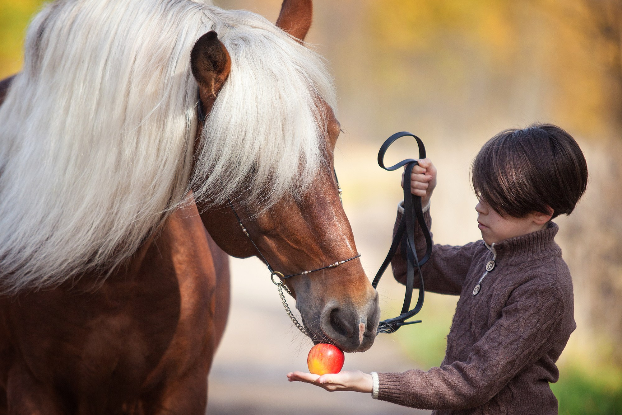 Люди. Фотограф-анималист Юлия Удовенко