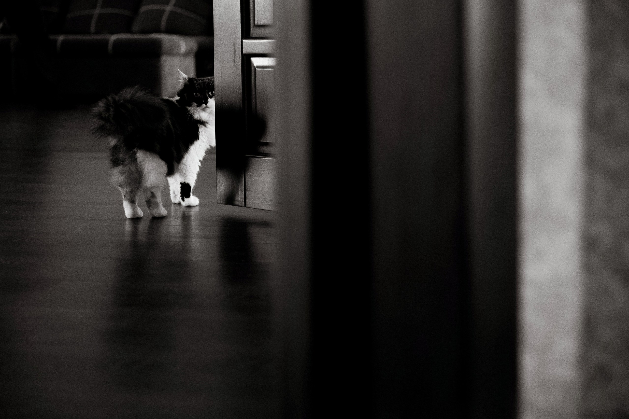 Свадебная фотография. Фотограф Николай Петрушкин | Ставрополь, Москва