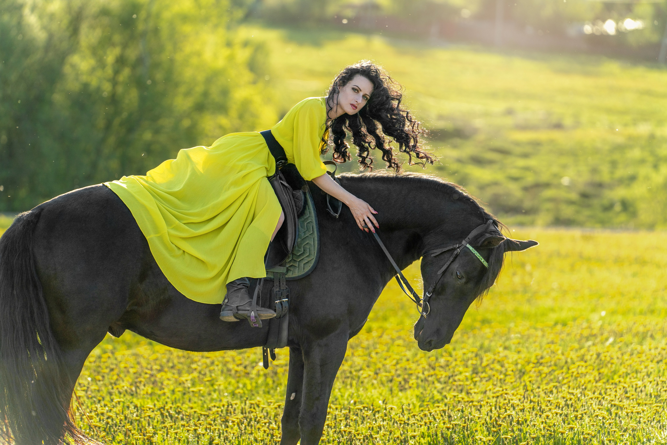 Одуванчиковое поле. Фотограф Дарья Соколовская