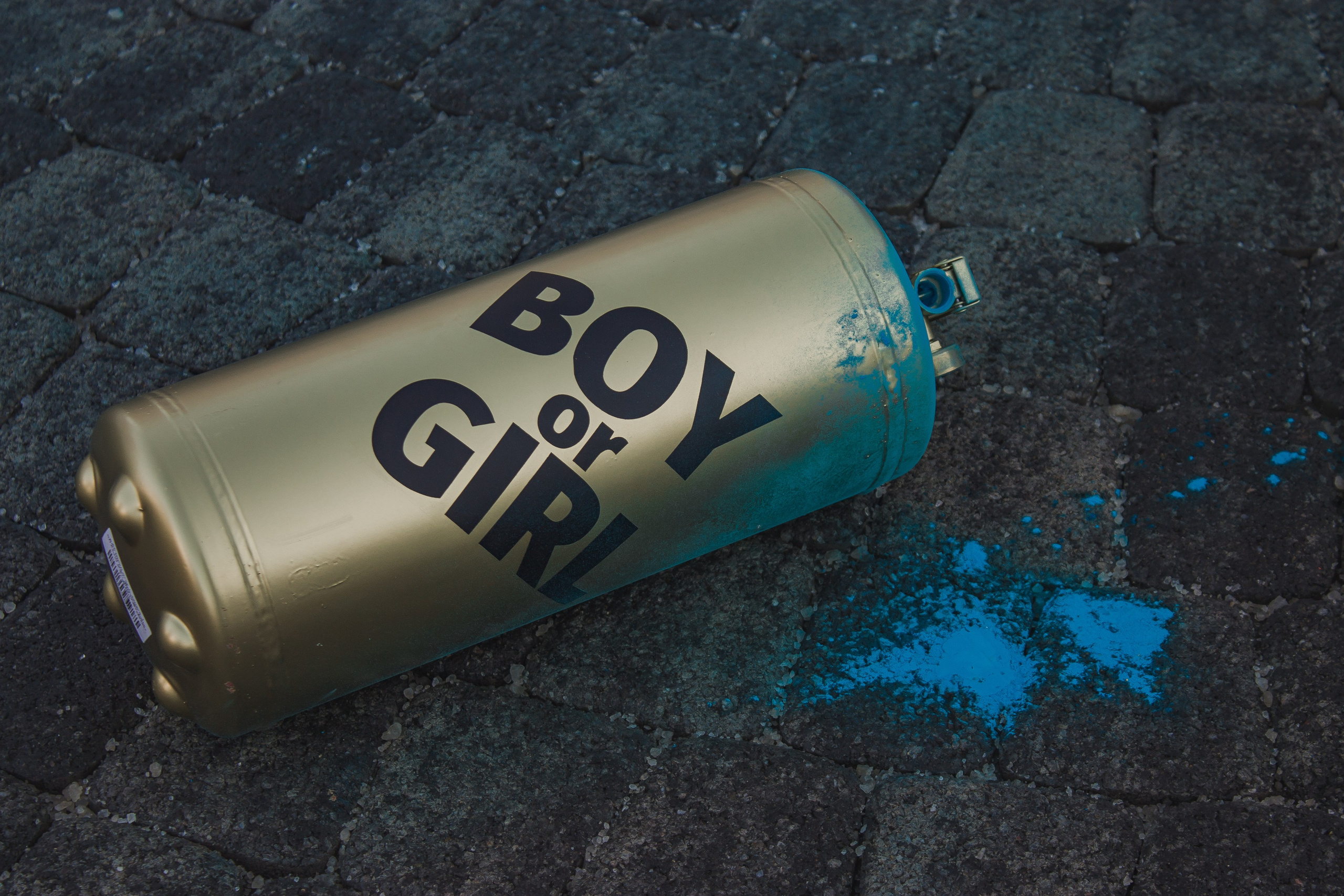 Гендер пати. Фотограф Красная поляна|Сочи|Сириус