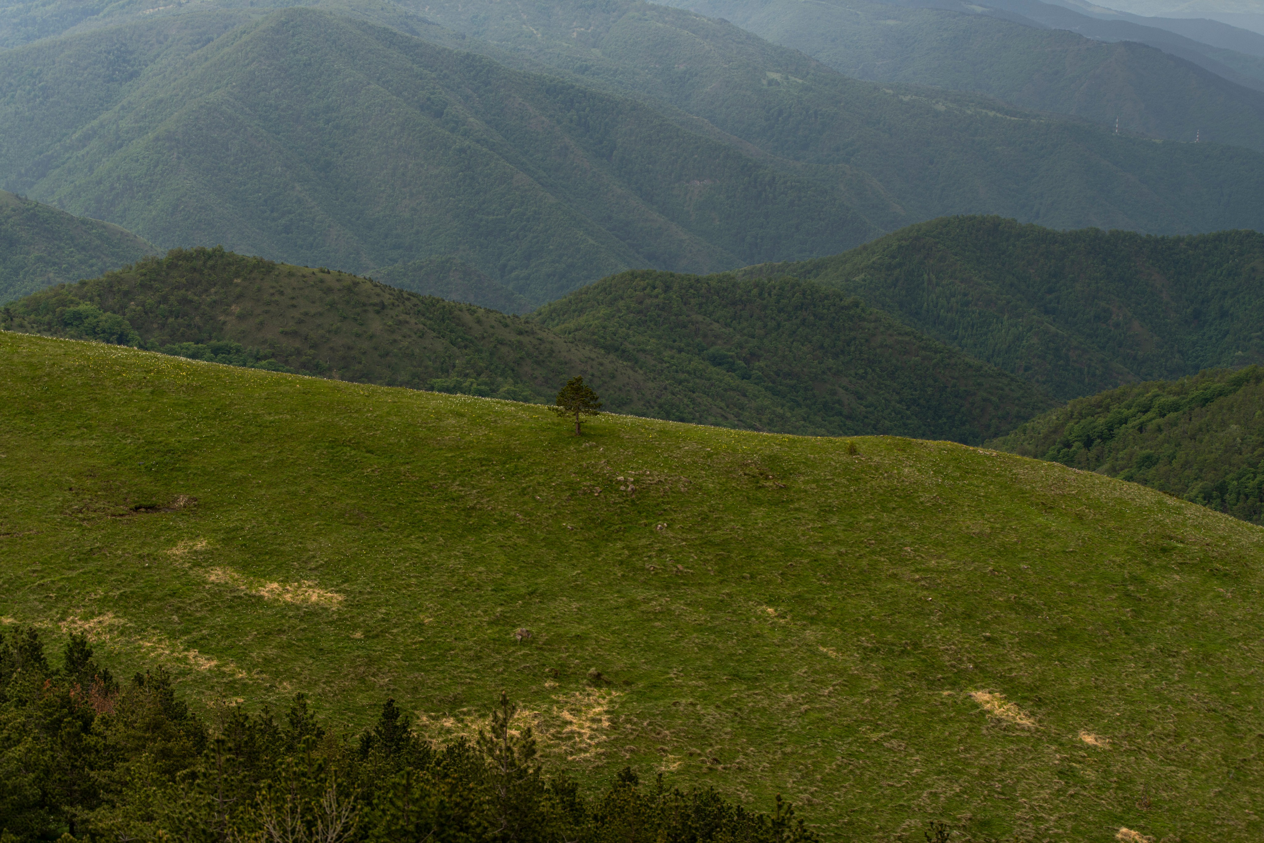 Столови. Сербия. Фотограф в Москве. Шахабудин