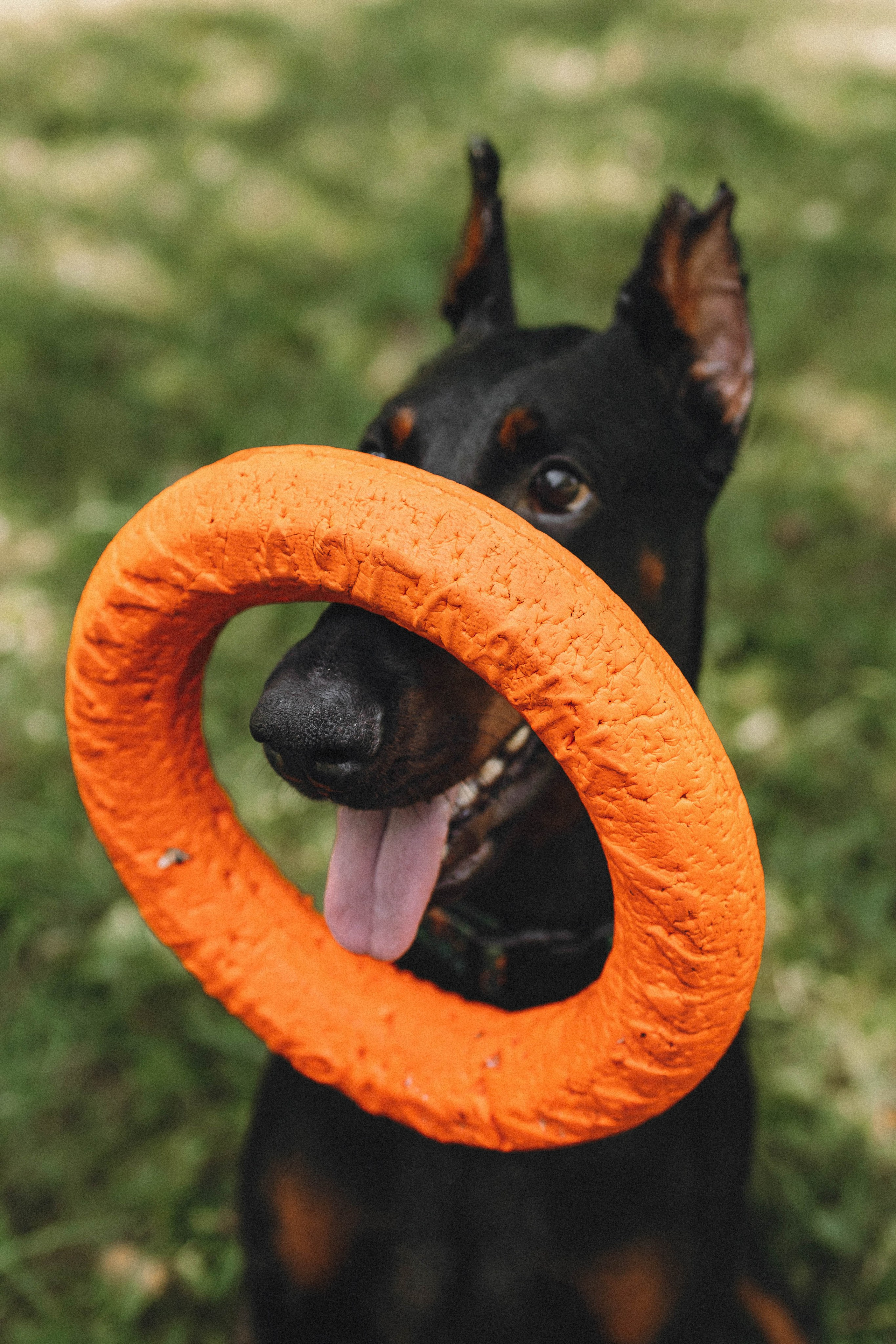 Паша и Хайди