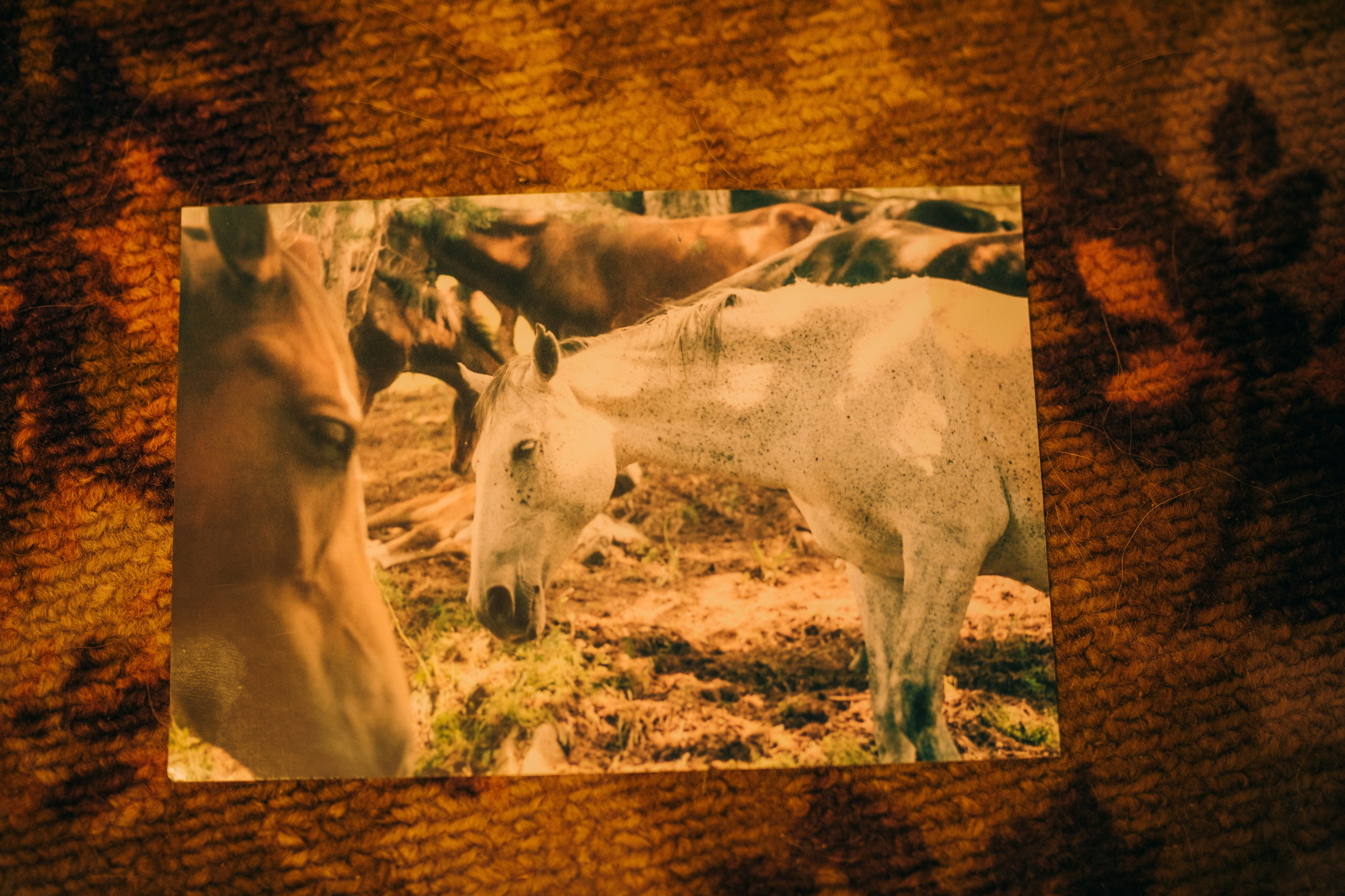 Вета. Женский семейный фотограф Тула Москва Захарова Анна